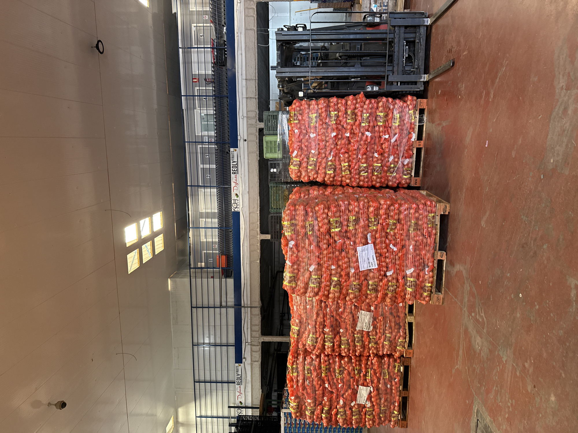 The image depicts the interior of a large warehouse, possibly a food storage facility. There are pallets stacked with orange netted bags, likely containing produce like onions or potatoes. The pallets are stacked in front of a forklift. The warehouse has a high ceiling and windows along one wall. In the background, there is a fenced-off area with a multi-level structure. The floor is painted in a reddish hue. There is no indication of the location being in Barcelona, Spain. No people are visible in the scene.