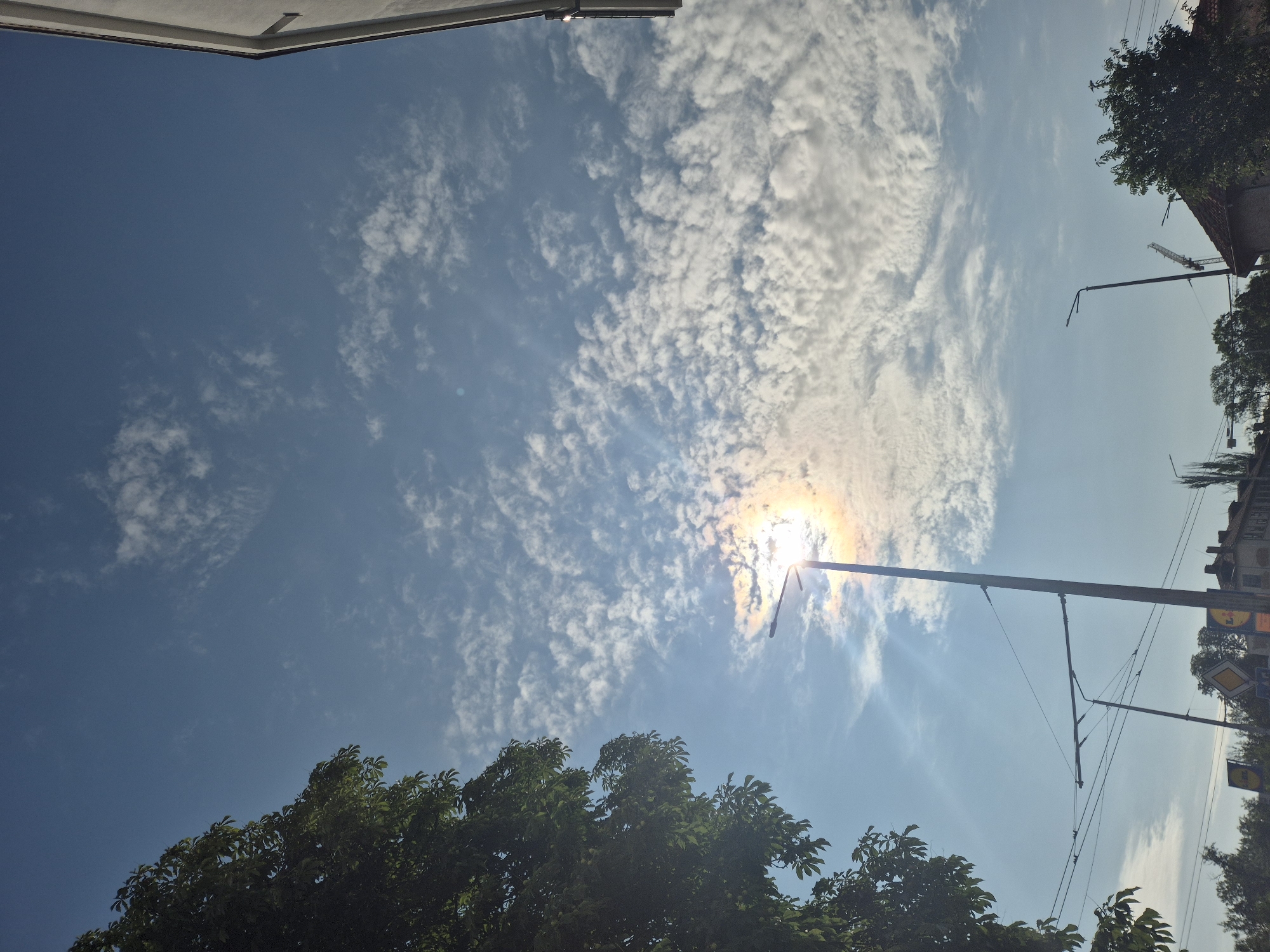 The image is an outdoor, eye-level, vertical shot of a street scene under a partly cloudy blue sky. The sun is shining brightly, creating a lens flare effect and a rainbow halo around a street lamp in the mid-ground. A large tree with green leaves is on the left side of the frame, partially obscuring the sky. In the background, buildings, more street lamps, power lines, and a construction crane are visible. The overall lighting suggests it is daytime.