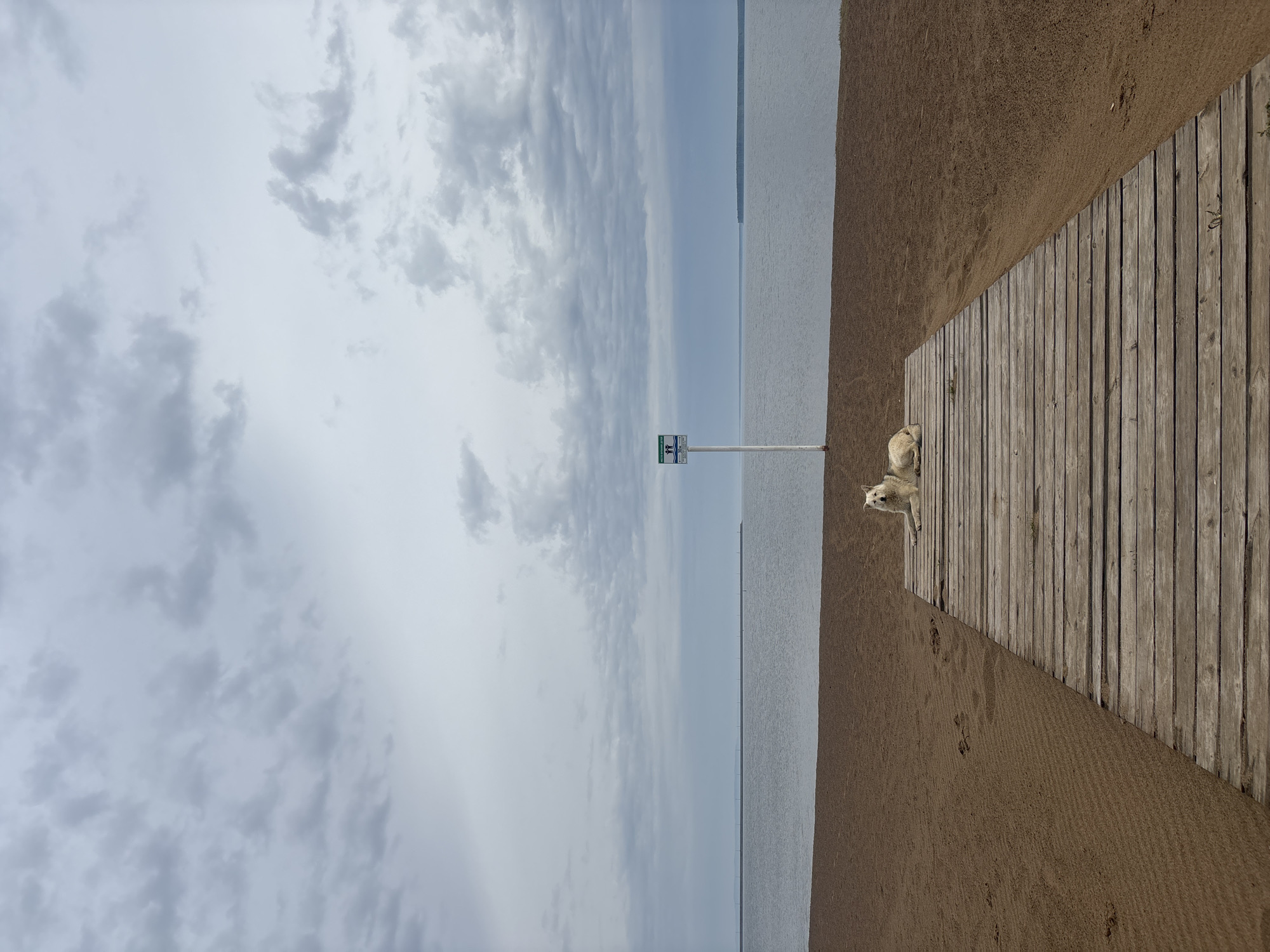 A scenic shot shows a beach in Chaikovsky, Russia. To the left, the sky is overcast with gray clouds above the water. To the right is a wooden boardwalk resting on the sand. A dog lies on the boardwalk. A signpost is visible in the center of the image.
