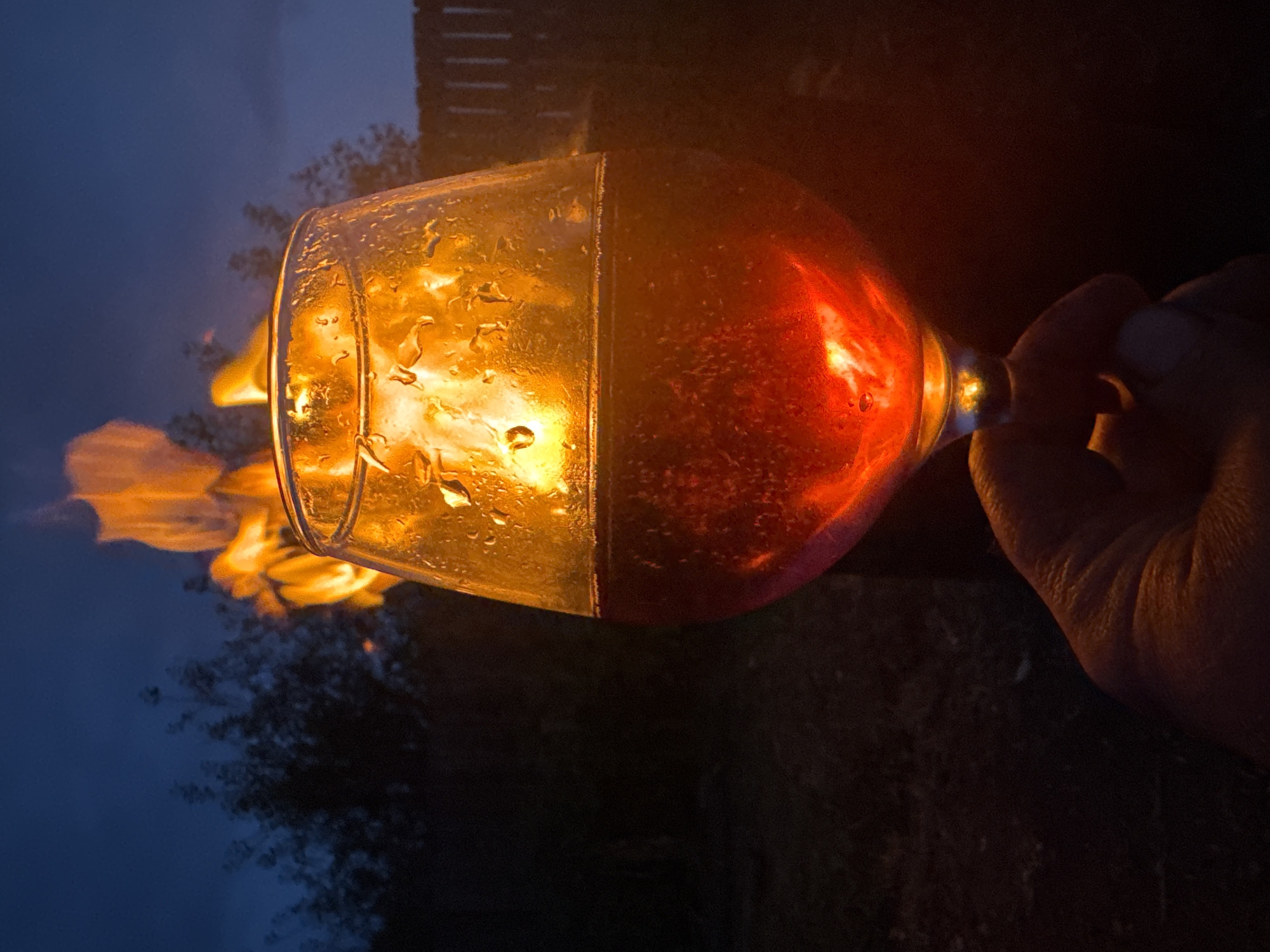 A person's hand is holding a clear glass goblet filled with a reddish-brown liquid. The glass is positioned in the foreground, slightly off-center to the right, and is angled towards the viewer. The liquid inside appears to be illuminated from behind by a bright, flickering orange flame. The upper portion of the glass, above the liquid line, is partially filled with the same flame, casting an intense orange glow through the liquid and onto the outside of the glass. Condensation droplets are visible on the exterior surface of the glass.
In the background, a fire is burning, producing large, vibrant flames that dominate the upper portion of the scene. The fire is set against a dark blue twilight sky. Silhouetted against the sky are dark, out-of-focus trees and a wooden fence on the right side of the image. The ground in the foreground and midground is dark and appears to be unpaved, suggesting an outdoor setting. The overall atmosphere is one of warmth and luminescence provided by the fire. The image appears to be taken in Chaikovsky, Russia, likely during an evening gathering or relaxation by a fire.