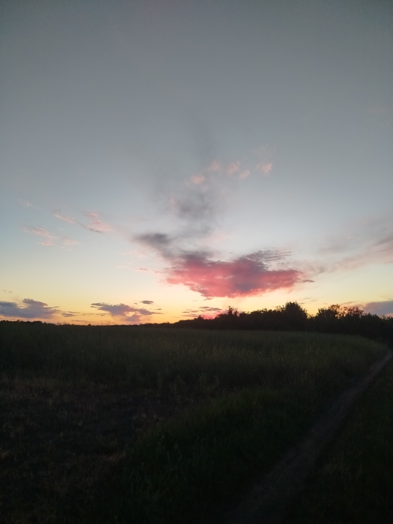 A wide shot of a field at dusk in Ustyvytsia, Ukraine. The sky is predominantly grey, with a pink cloud near the center. The field below is dark, with a path visible on the right side. A line of trees appears in the distance.