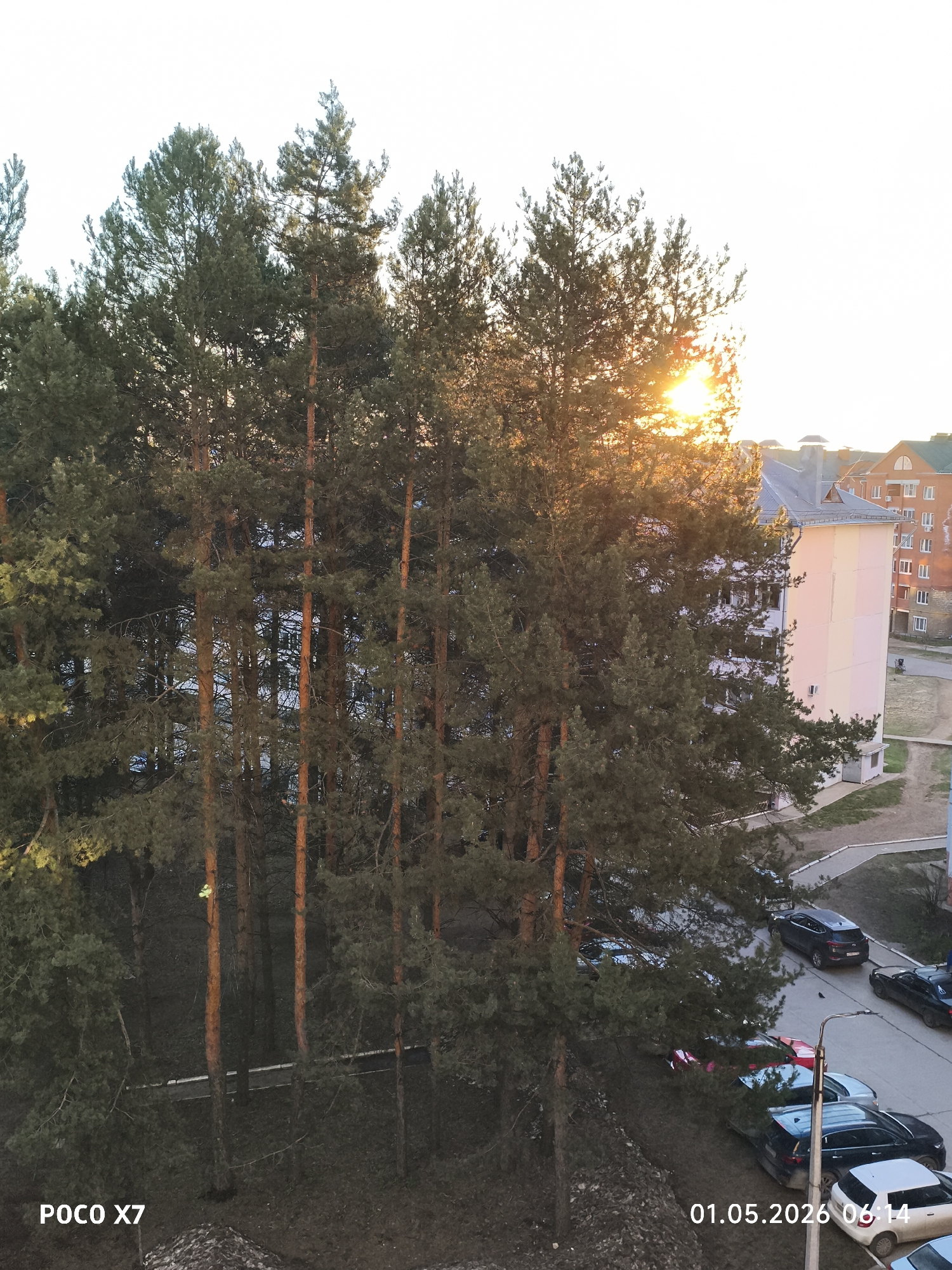 A daytime view looking down from an elevated position overlooking a street with parked cars, trees, and apartment buildings, likely in Chaikovsky, Russia. The foreground is dominated by a cluster of tall, slender pine trees, with reddish-brown trunks. Behind the trees is a street lined with several parked cars. In the background is a large, multi-story apartment building with a peach and white color scheme. The sun is visible through the upper branches of the trees. The date "01.05.2026 06:14" is printed in the lower right corner. "POCO X7" is printed in the lower left corner.