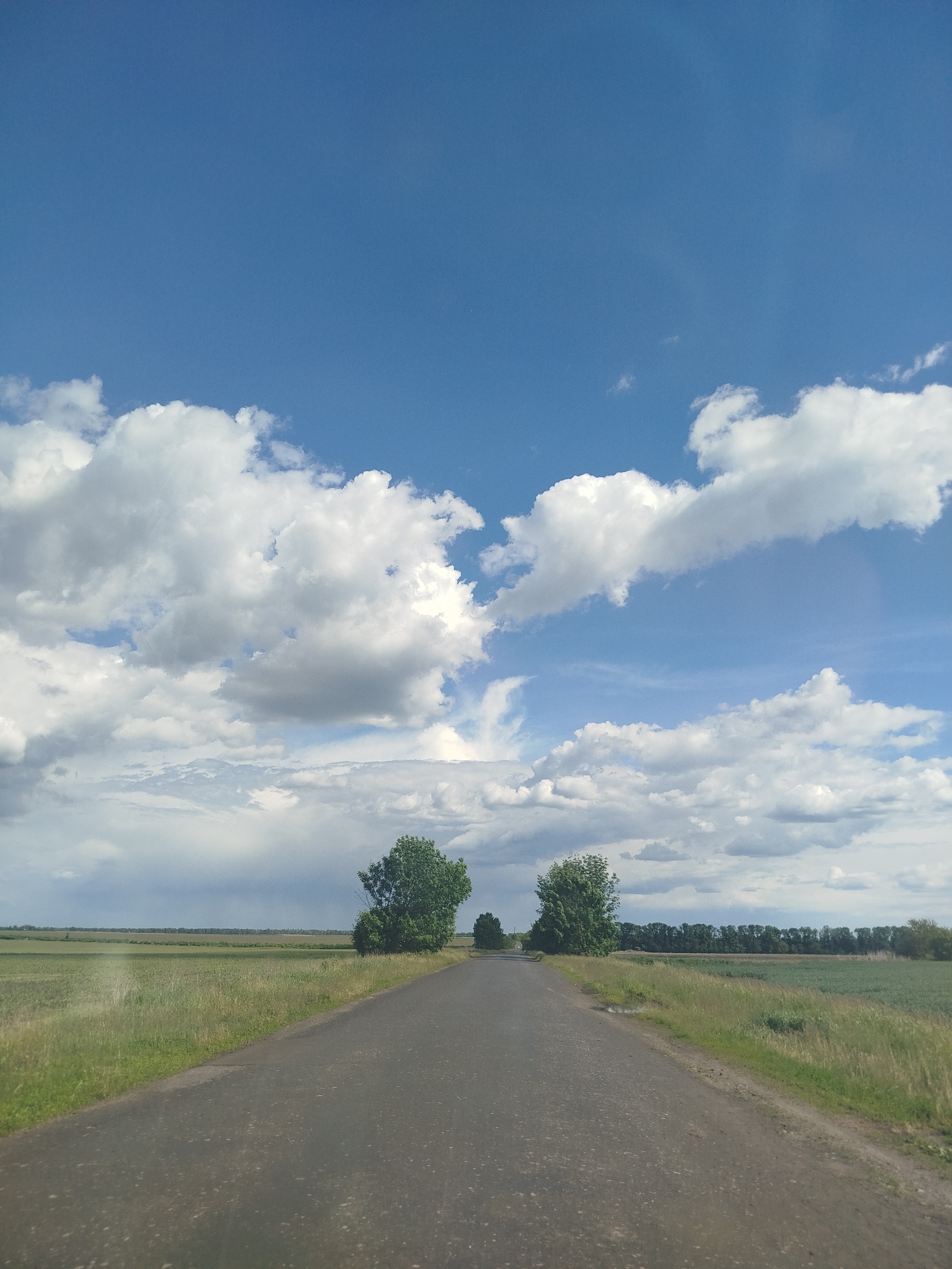 A rural road stretches into the distance, framed by fields of grass and crops under a sky dominated by puffy white clouds and patches of blue. Two prominent trees stand on either side of the road, with another smaller tree further down. A line of trees is visible in the distance. The location is likely in or near Ruda, Ukraine, given the user's prompt. No people are visible in the image.