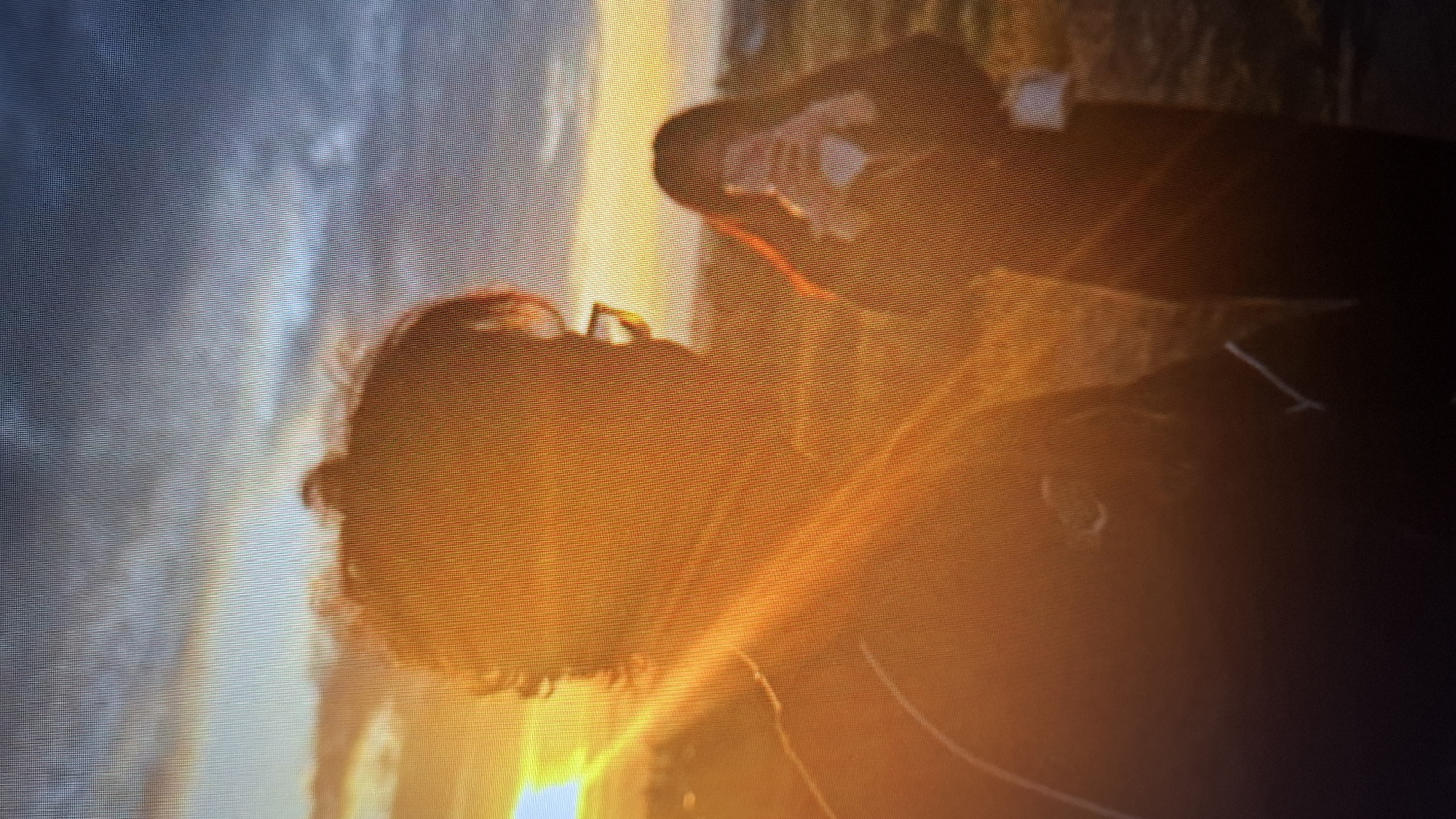 The image shows two people silhouetted against a bright, warm light, possibly the sun setting or rising. The light casts a strong orange and yellow glow, with some areas of blue and gray in the background, suggesting a sky with clouds. One person appears to be in the foreground, facing away from the camera, with what looks like red hair. Their head and upper body are visible. The second person is positioned behind the first, and they seem to be holding a camera or phone, perhaps taking a picture. This person is wearing a hat or helmet.
The overall impression is of a moment captured outdoors, possibly during a dramatic sunset or sunrise, given the intense coloration. The subjects are not clearly defined due to the backlighting, but the scene conveys a sense of intimacy and shared experience. The focus is on the interaction between the two individuals and the striking natural light. There is no visible text in the image.