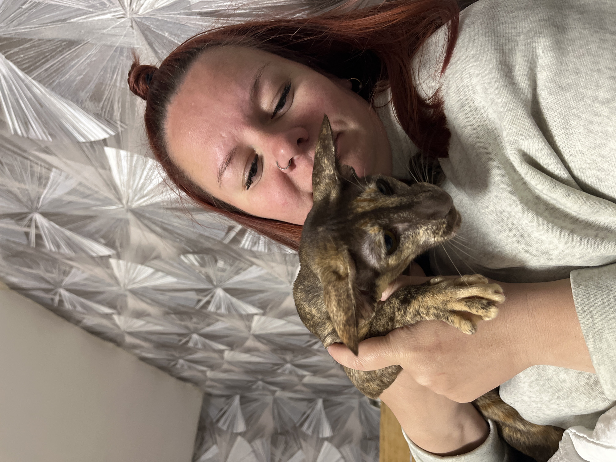 An indoor, close-up photograph captures a person affectionately holding a cat. The image is oriented diagonally, with the person's reddish-brown hair and head on the right side, and a patterned wall filling the background to the left.
The person, likely female, has fair skin and reddish-brown hair pulled into a small bun on top of her head. She has a silver ring piercing in her left nostril. Her eyes are closed or mostly closed, and her face is pressed gently against the cat, suggesting a moment of tenderness or nuzzling. She is wearing a light grey long-sleeved sweatshirt or top, with visible fabric folds and texture.
She cradles a short-haired cat with a mottled or brindled coat pattern, consisting of shades of brown, black, and tan. The cat's ears are prominent and pointed, and its eyes are open, looking towards the left. Its front paws are resting on the person's arm and chest. The cat appears calm in the embrace.
The background features a light-colored, possibly metallic or reflective, geometric wallpaper or textured wall. The pattern resembles starbursts or spiky, fanned shapes in shades of grey and white, creating a dynamic visual effect. The lighting is soft and even, indicating an indoor setting, likely a home in Chaikovsky, Russia, as per the provided context. There is no visible text in the image. The overall mood is intimate and affectionate.