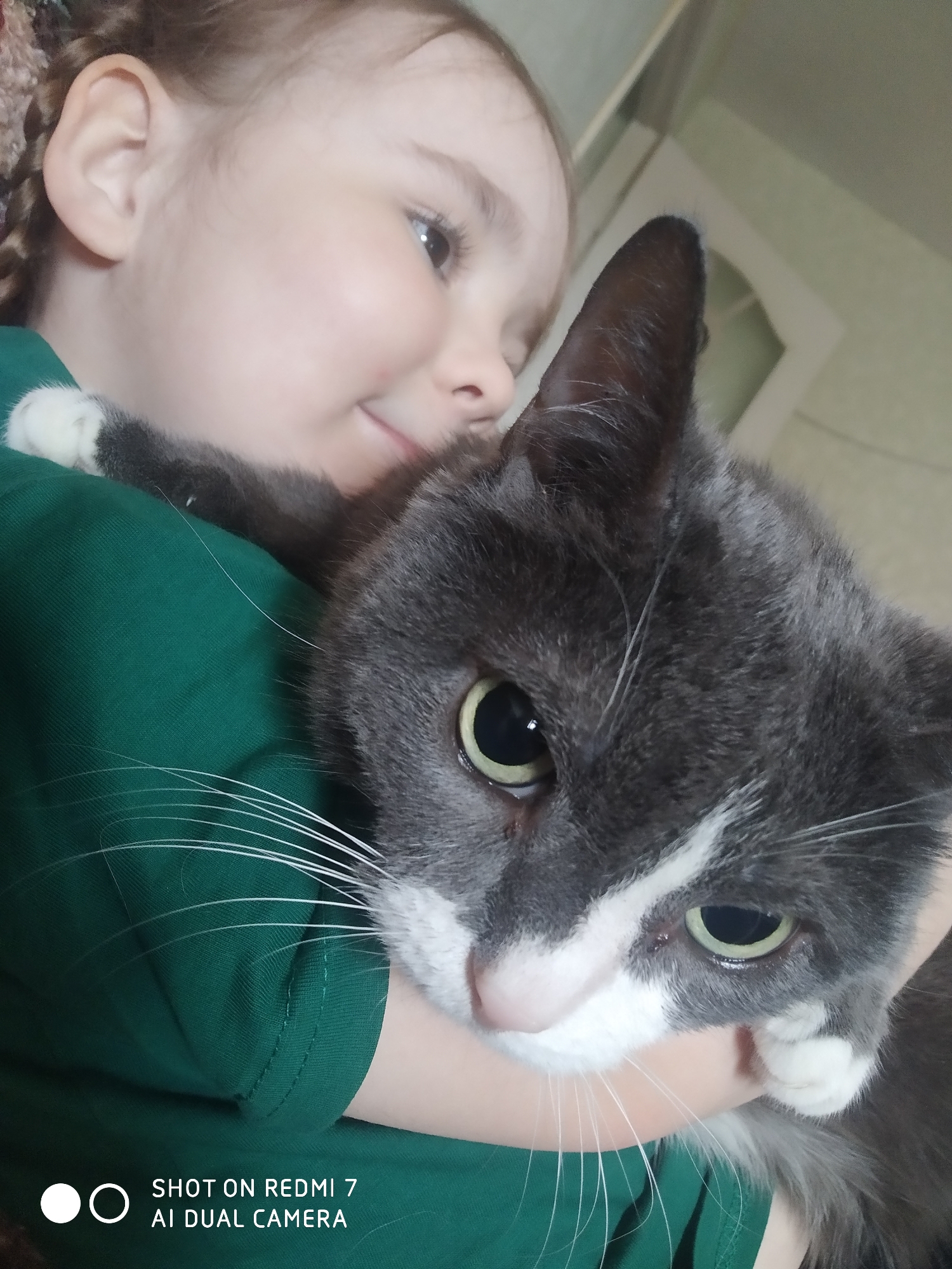 A young girl is holding a gray and white cat. The girl has fair skin, light brown hair braided in pigtails, and is wearing a dark green shirt. She is looking down at the cat with a slight smile. The cat has large, green eyes and a white patch on its face. The cat's fur is gray with white markings. The cat looks alert and slightly uncomfortable. The location is Chaikovsky, Russia. The background is out of focus but appears to be an indoor setting. A window or light-colored wall is visible behind the girl and cat. The image contains a watermark indicating "SHOT ON REDMI 7 AI DUAL CAMERA" on the bottom.