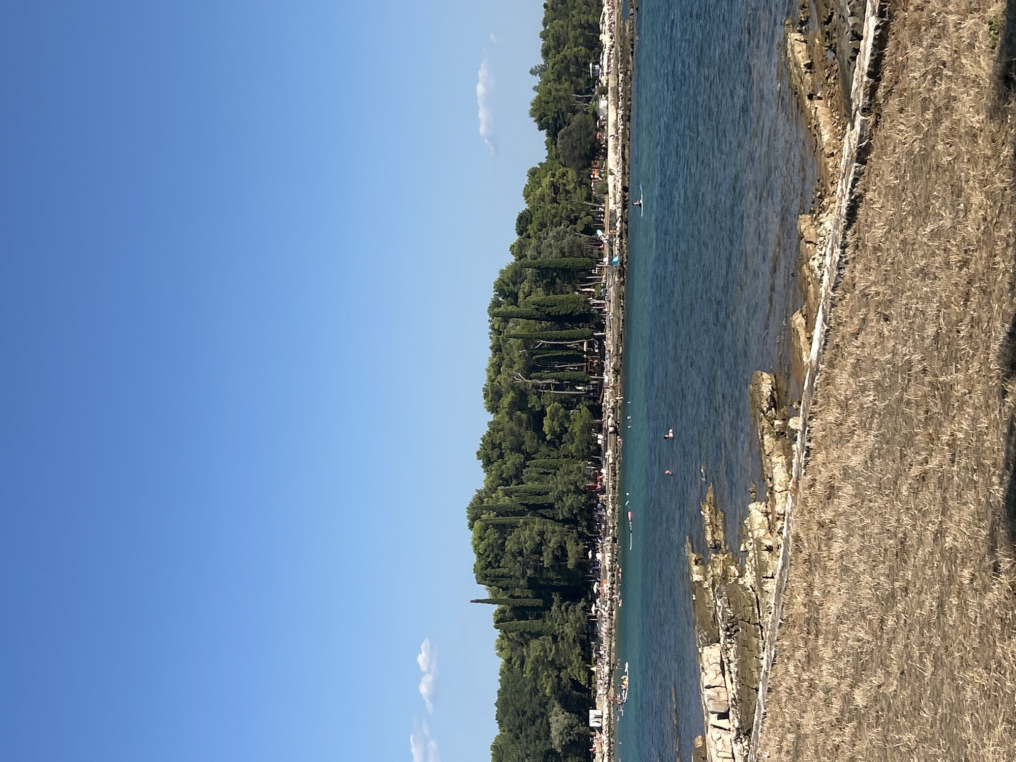 The image depicts a sunny day at a coastal resort area in Katoro, Croatia. The foreground features dry, straw-like vegetation and a rocky shoreline bordering a clear, turquoise body of water. In the water, several individuals are visible swimming and paddleboarding. A small boat with people on board is also present. The middle ground is dominated by a dense line of evergreen trees, including tall cypress trees, forming a natural backdrop to a bustling beach. Numerous beachgoers are scattered across the sandy shore, some lounging under umbrellas, while others are engaged in various recreational activities. Buildings and structures, likely part of the resort, are interspersed among the trees and along the coastline. The sky above is a clear, vibrant blue with a few wispy white clouds.