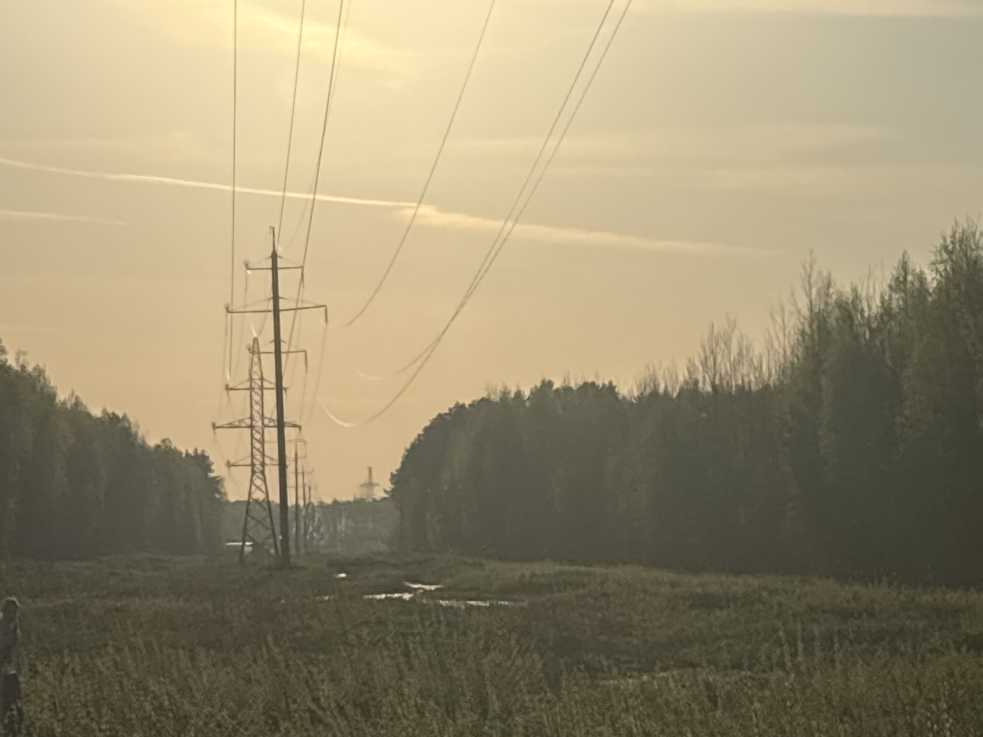 The photograph depicts a rural landscape under a hazy, yellowish sky, likely at dusk or dawn. Several electrical transmission towers stand in a line across a flat, grassy field. The wires attached to the towers are visible against the sky. A dense forest borders the field on the right side of the frame, and more trees are visible in the distance on the left, creating a sense of enclosure. Patches of standing water are visible in the field. The location is identified as Шевлягино, Russia. No people are visible.
