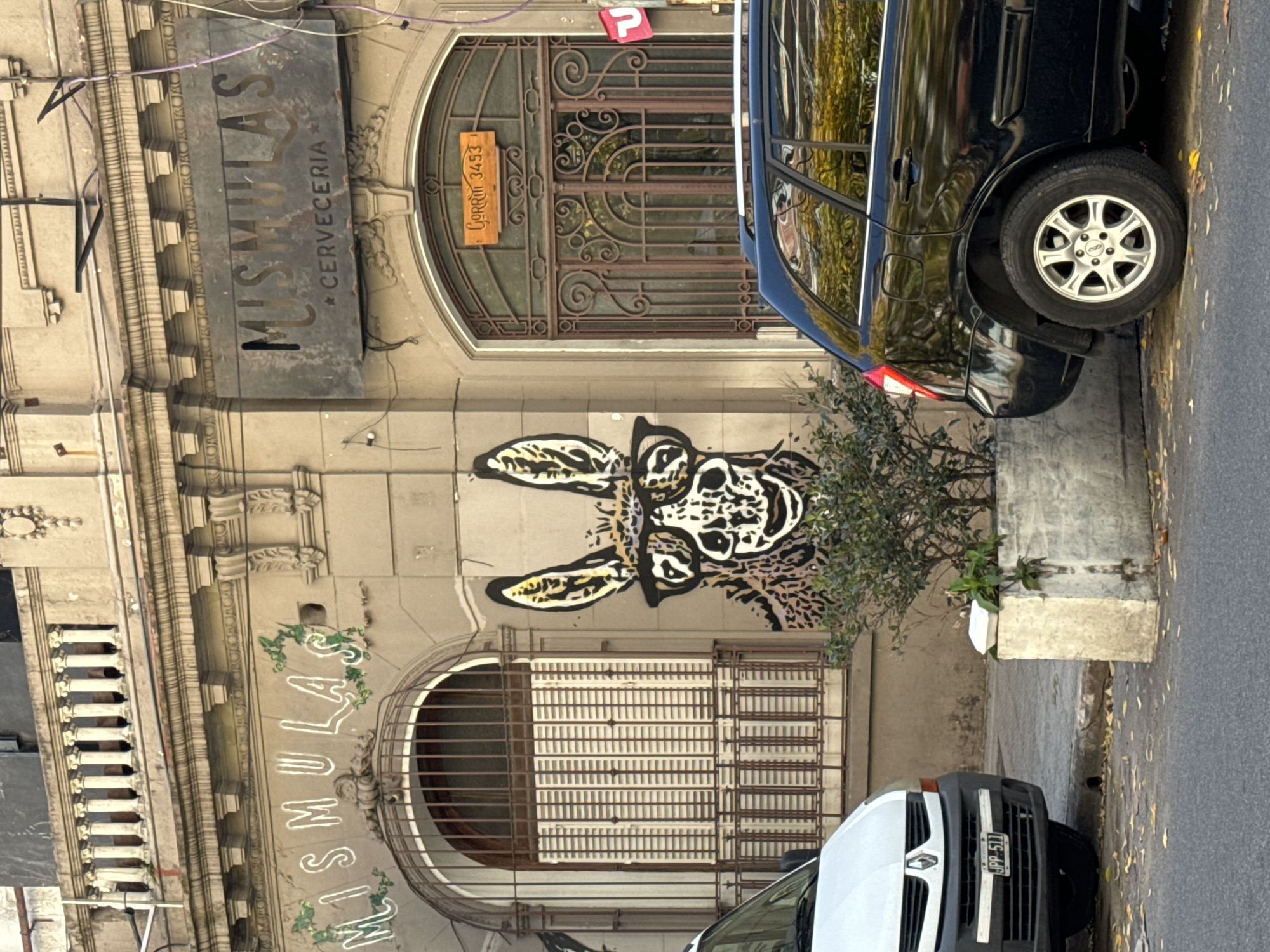 A street view in Buenos Aires, Argentina, features a building façade with decorative architectural elements. The building is adorned with the name "MISMULAS" in two locations, once as a painted vine-like logo and again as a rustic sign indicating it is a "CERVECERIA" (brewery). A mural of an animal, possibly a donkey, wearing glasses is prominently displayed on the façade. The address "Corrientes 3453" is visible on a wooden sign near an arched window, which is covered by a metal grate, with decorative ironwork above it. A black car is partially parked on the sidewalk, obscuring part of the upper area of the building. A white vehicle is visible in the lower portion of the frame, parked near the building. The street appears wet with scattered fallen leaves.