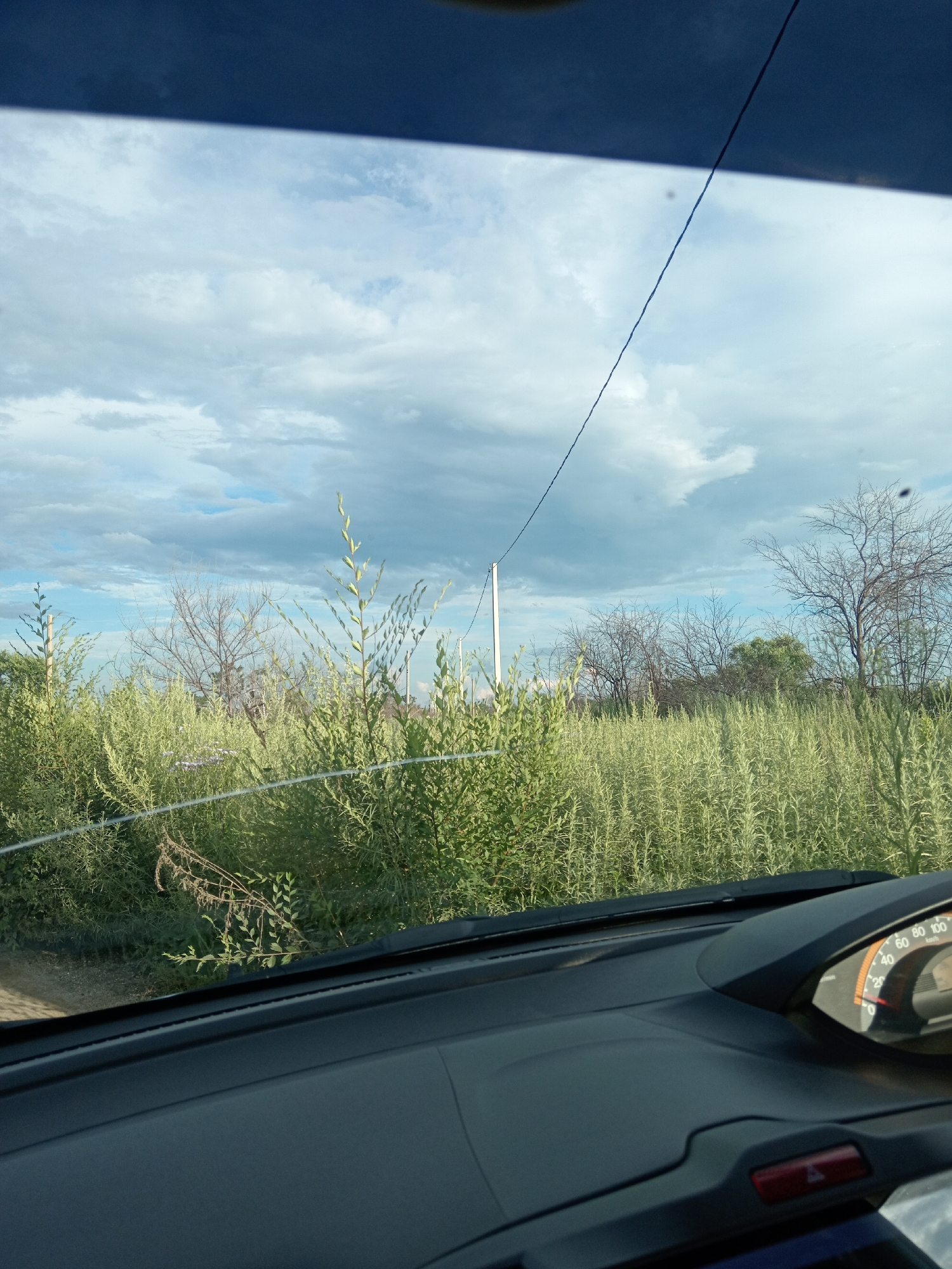 The image provides a view from inside a vehicle, looking outwards through the windshield. The dashboard of the car is visible in the foreground, with a speedometer displaying a speed of approximately 20 km/h. Beyond the windshield, a natural landscape unfolds under a cloudy sky. A wire, possibly a power line, stretches diagonally across the frame from the upper right to the middle left. The middle ground is dominated by dense green vegetation, likely tall grasses and shrubs, with some bare trees visible further in the background. The presence of a power line and a road or dirt path on the left side of the image suggests a semi-rural or outskirts setting. The overcast sky, with its dramatic cloud formations, indicates variable weather conditions. The location is identified as the city of Belogorsk, Russia.