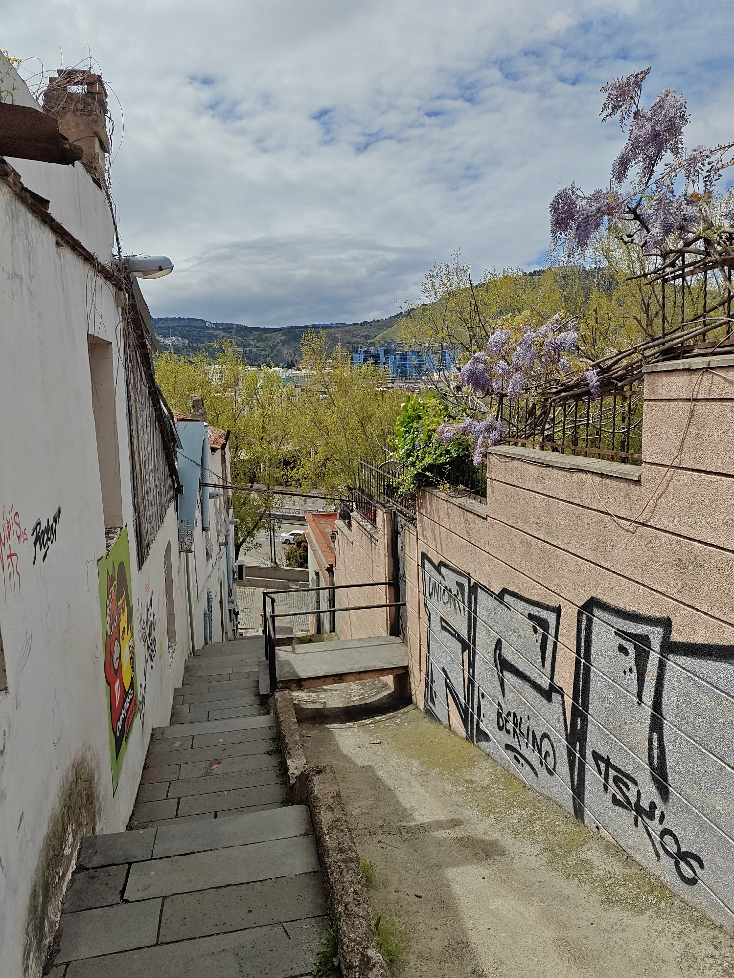 The image depicts a descending stone stairway or pathway in a narrow urban alleyway, identified as Tbilisi, Georgia. On the left, a weathered white building features multiple layers of graffiti, including red and black tags with words like "Fuck off," and a colorful poster or mural of a cartoonish character in red, yellow, and green. The upper section of this building shows signs of disrepair with exposed architectural elements and dried vines. A single street light is attached to its side.
To the right, a low, light pink stucco wall runs alongside the pathway, covered in prominent black graffiti spelling out "UNISONE," "BERLINO," and "TSHISA." Above this wall, vibrant purple wisteria blossoms drape over a metal railing and intertwine with branches, adding a striking burst of color. The pathway itself consists of broad, grey stone steps with a simple metal handrail on the right.
In the background, rolling hills densely covered in bright green deciduous trees with fresh spring foliage are visible. Some modern, multi-story buildings can be seen interspersed among the greenery in the middle distance. The sky above is partly cloudy, displaying a mix of white clouds and blue patches, indicating a bright daytime setting, likely during springtime given the lush new leaves and blooming wisteria. No people are present in the scene.