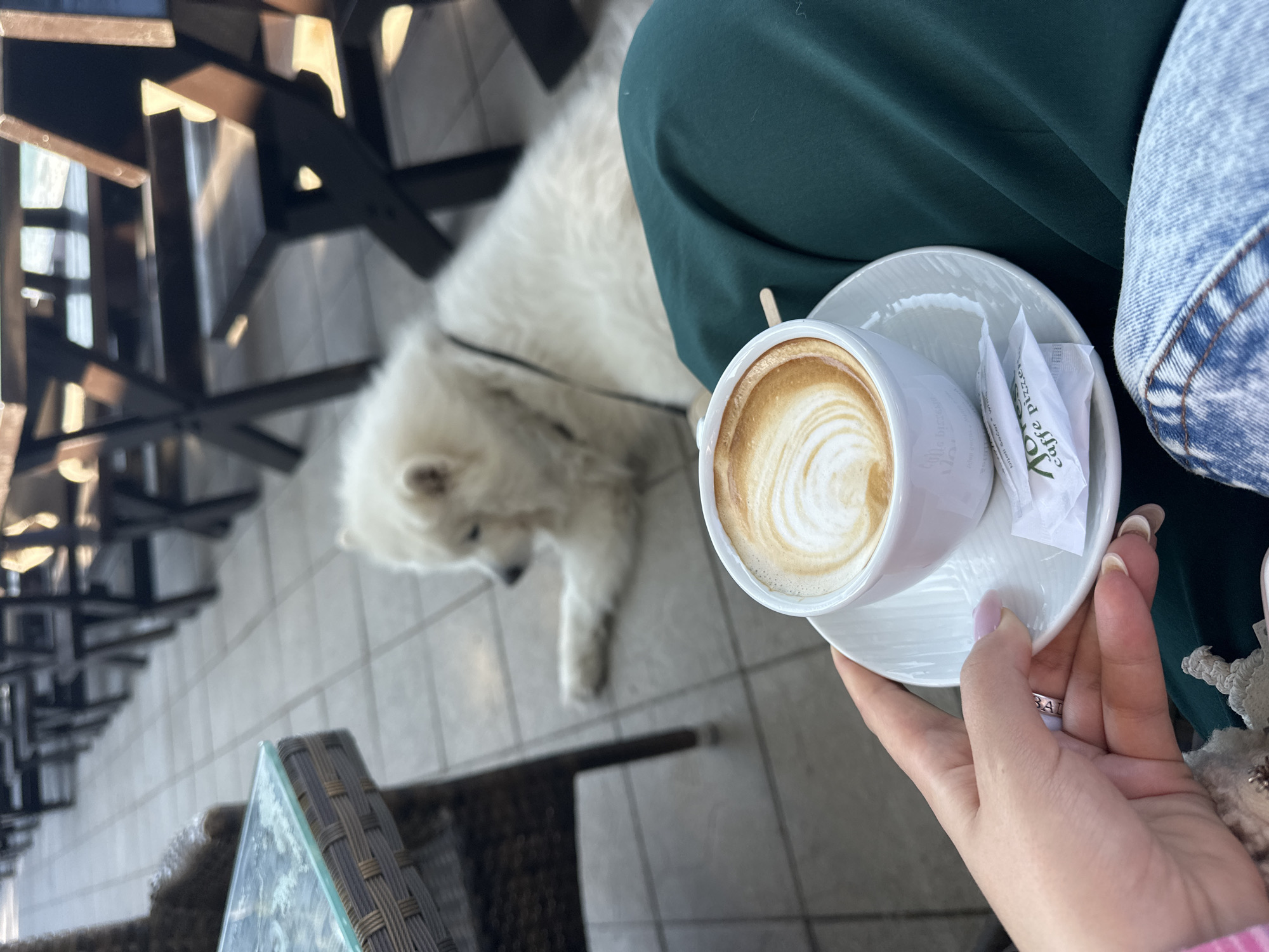 A person holds a cup of coffee with a design in the foam, with sugar packets on the saucer, in an outdoor setting that appears to be a cafe in Šušanj, Montenegro. A white dog lies on the tiled floor near the person. Parts of outdoor furniture, including a glass-topped table and black chairs, are visible. The person is wearing green pants and a denim jacket.