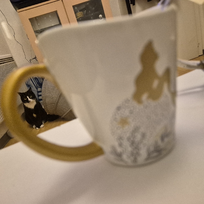 A large, white mug with a gold handle and castle design dominates the foreground. The mug is slightly out of focus. Through the handle, a black and white cat sits on the floor, gazing toward the camera. The background includes a light pink cabinet with glass doors, a white radiator, and a light-colored wall. The mug sits on a white surface.