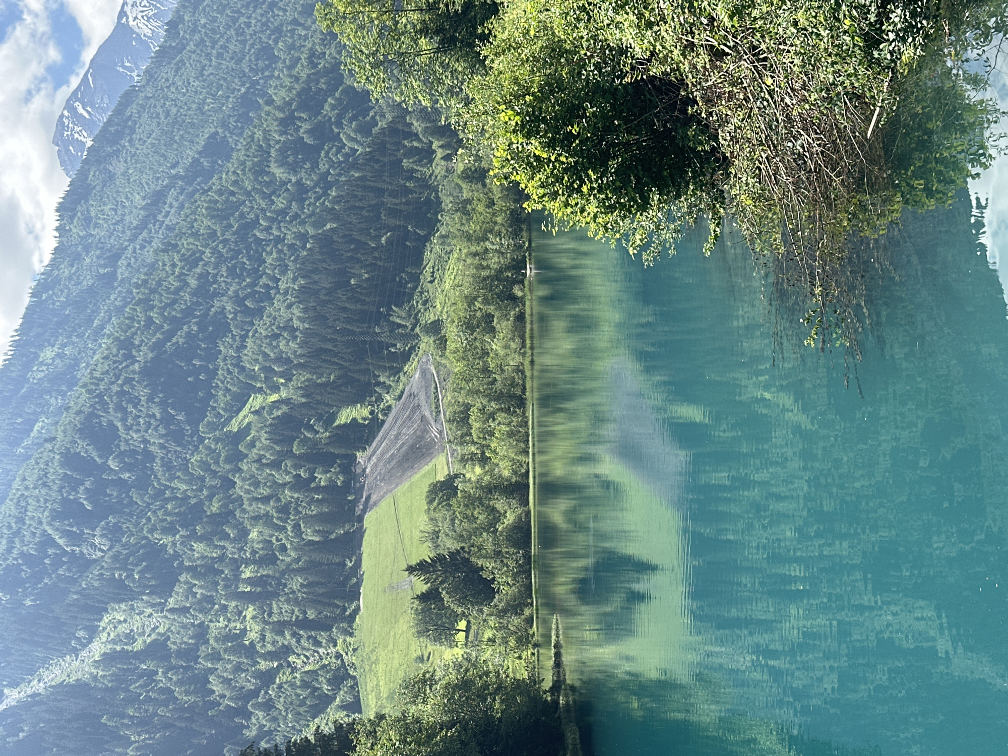 The image shows a picturesque mountain landscape with a vibrant turquoise lake in the foreground. The lake reflects the surrounding lush green trees and the imposing mountains that rise in the background. The mountains are covered in dense forest, with patches of bare earth and what appears to be construction or landscaping activity on a hillside. In the far distance, snow-capped peaks are visible, indicating a high-altitude location. The water is calm, with gentle ripples disturbing the perfect reflection. The shoreline is lined with dense vegetation, including trees and bushes, with some branches extending into the water. The lighting suggests it is a sunny day, with shadows cast by the trees and mountains. The scene conveys a sense of natural beauty and tranquility. This image is likely of the Klammsee reservoir or a similar body of water near Kaprun, Austria, known for its stunning alpine scenery.