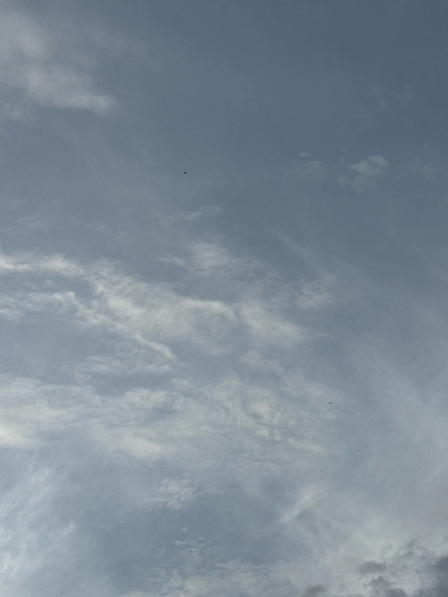 The image shows a sky with scattered clouds. A few dark specks, likely birds, are visible against the lighter sky. The clouds are varied, with some appearing wispy and others more dense. The overall lighting suggests it is daytime, possibly late afternoon given the diffused light. There is no identifiable cityscape or landmarks to confirm a location in Nha Trang, Vietnam.