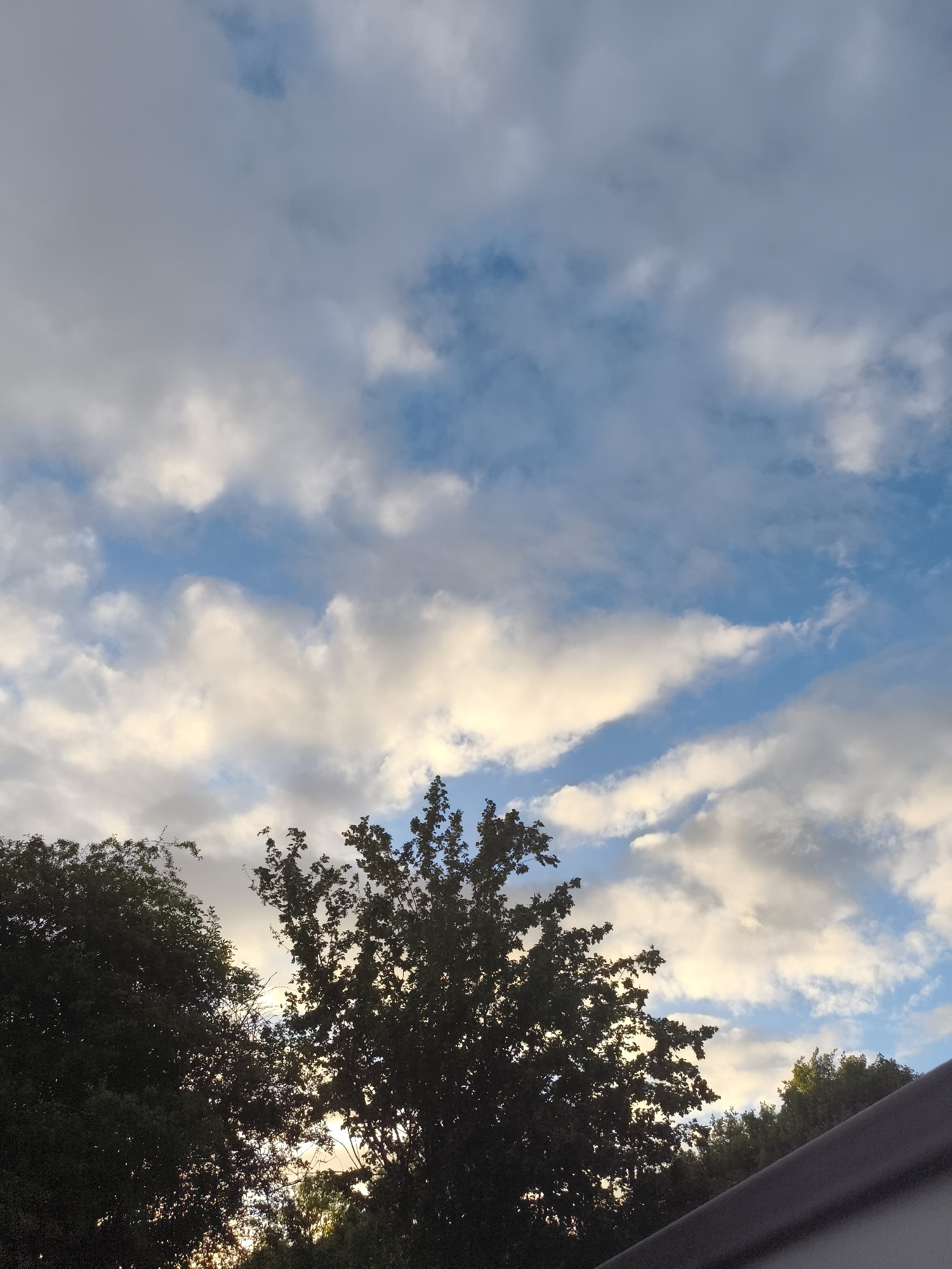 The image displays an outdoor scene featuring a sky filled with clouds and the silhouettes of trees, suggesting either sunrise or sunset. The upper two-thirds of the frame are dominated by a partly cloudy sky, where vibrant blue patches are interspersed with various cloud formations. Many of the clouds are fluffy and white, with several exhibiting soft golden and yellowish tones, particularly in the middle, indicating the warm light of dawn or dusk. Other clouds appear a muted grey.
Below the sky, the dark, intricate outlines of trees fill the lower portion of the image. A prominent deciduous tree stands near the center, its branches and foliage forming a complex silhouette against the brighter sky. Another mass of trees is visible on the far left, with additional foliage hinted at on the right. In the bottom right corner, a dark, indistinct diagonal element, possibly a man-made structure such as a roof edge or railing, is visible. The overall mood is serene and natural. No people or text are present in the image. The location context provided is Huntingdonshire, United Kingdom.
