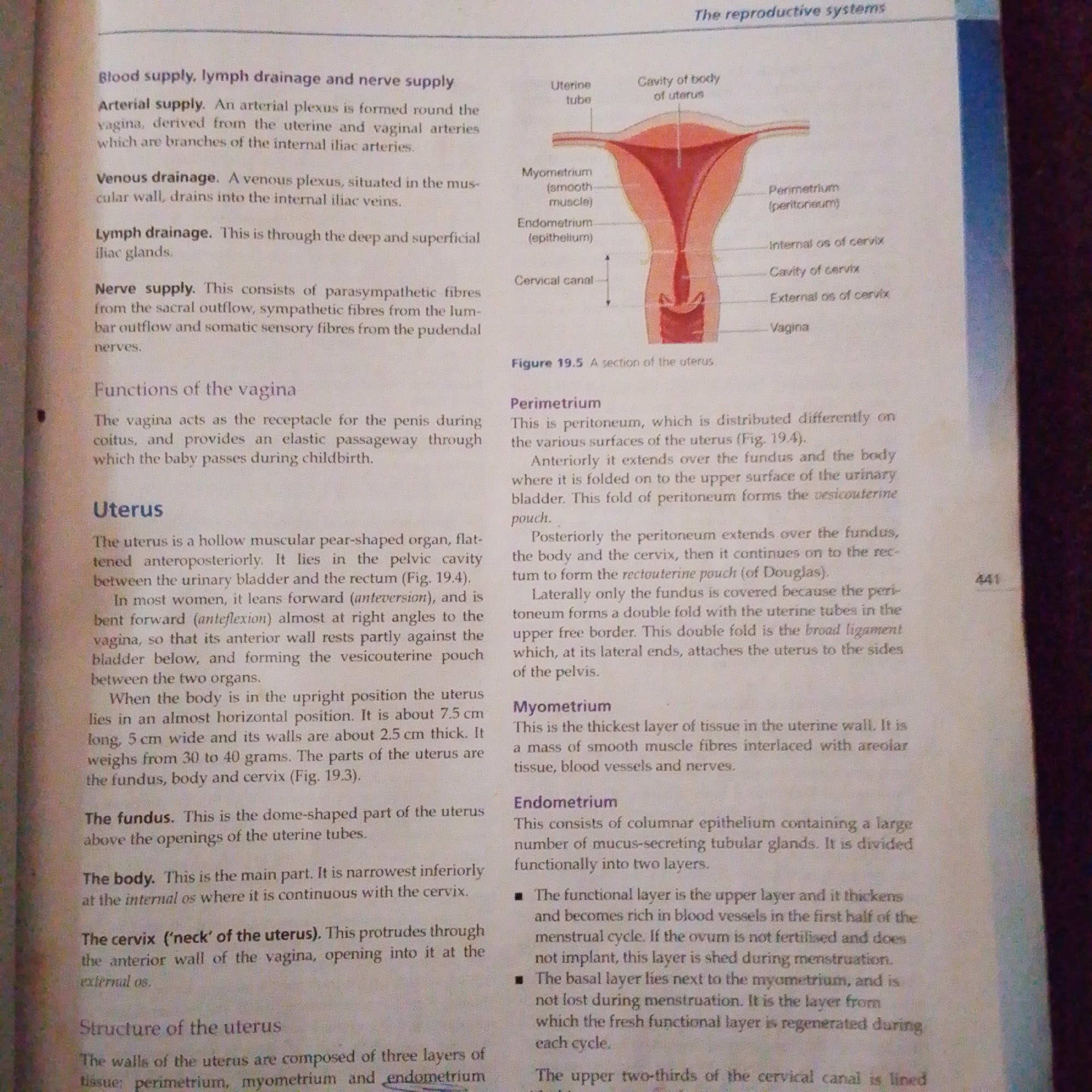 The image displays a page from a biology textbook discussing the female reproductive system, specifically focusing on the vagina and uterus. The page includes detailed anatomical descriptions and a diagram of the uterus. There is no information about Jalingo, Nigeria, or any forensic details present in the image.