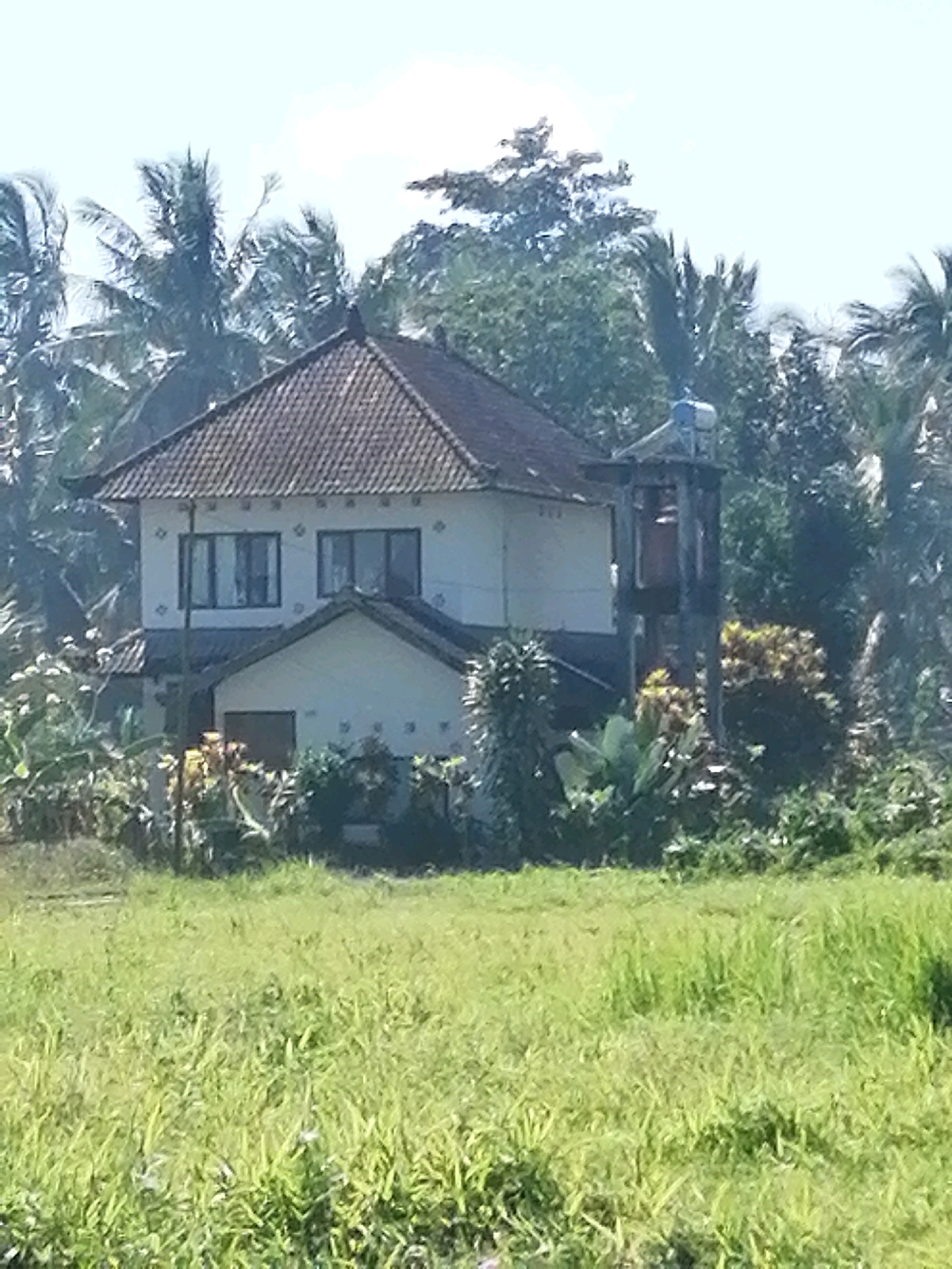 The image shows a house in a rural setting, likely in Ubud District, Indonesia, surrounded by lush greenery and palm trees. The house is a two-story structure with a tiled roof. To the right of the house, there is a tall, open-sided structure, possibly a water tower or a bell tower, with a cylindrical tank at the top. The foreground is dominated by a field of tall grass, indicative of a tropical or subtropical climate. The sky is light and hazy, suggesting it is daytime. The overall impression is one of a peaceful, natural environment.