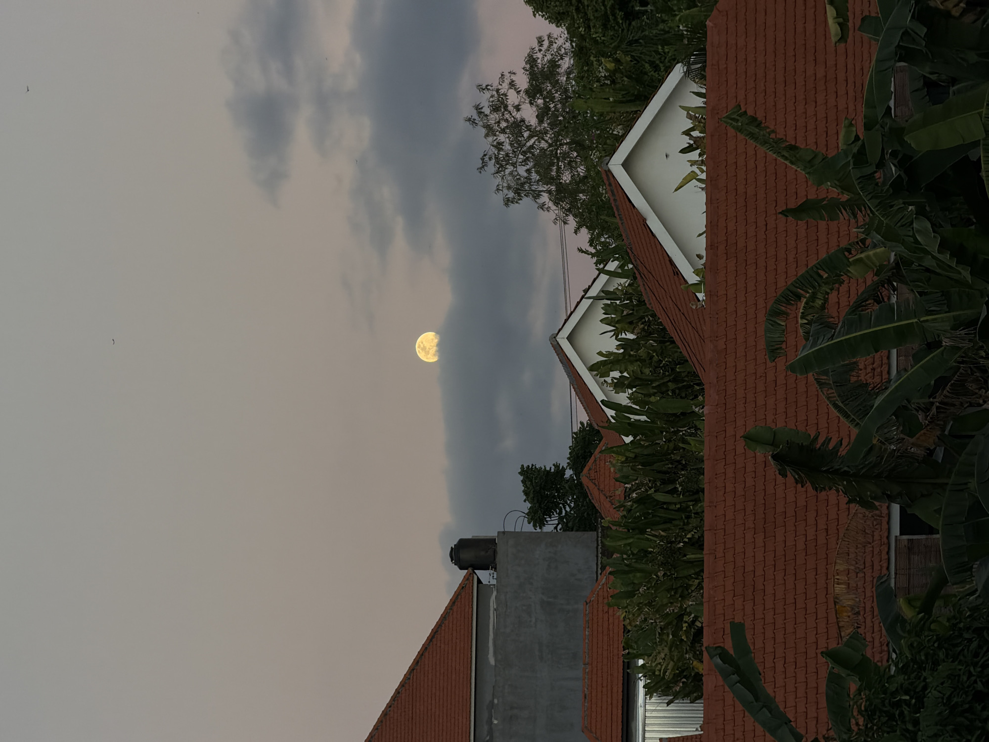 The image depicts a residential area in North Kuta, Indonesia, during twilight. The sky is a soft gradient of pale grey and pink, with a full moon partially obscured by dark clouds in the upper center of the frame. Several dark specks, likely birds, are visible against the sky. The foreground is dominated by the terracotta tiled roofs of houses, interspersed with lush green foliage, including large banana leaves. Some houses have white gabled roofs. A tall black water tank sits on top of a grey, concrete-faced building on the left. The overall impression is a serene, domestic scene as day transitions into night.