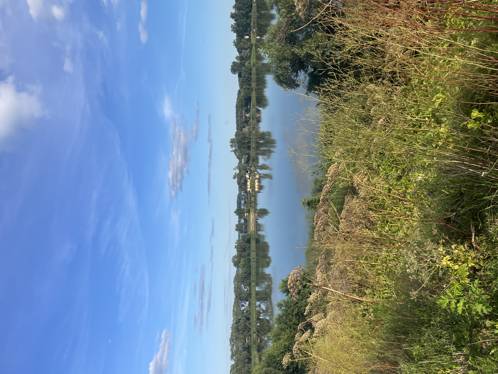 A serene, sunlit landscape unfolds, dominated by a tranquil lake reflecting a clear blue sky dotted with wispy white clouds. The foreground is lush with overgrown green and dried grasses, interspersed with tall, dried seed heads of what appear to be cow parsnip. Beyond the grasses, a line of vibrant green trees forms a dense border along the opposite shore of the lake. Nestled within the treeline, small houses with terracotta roofs are visible, suggesting a rural or semi-rural settlement. The overall impression is one of natural beauty and peaceful seclusion, evoking a sense of calm and quietude. This scene likely represents a natural area within or near the city of Ludza, Latvia, characterized by its abundant greenery and waterfront.