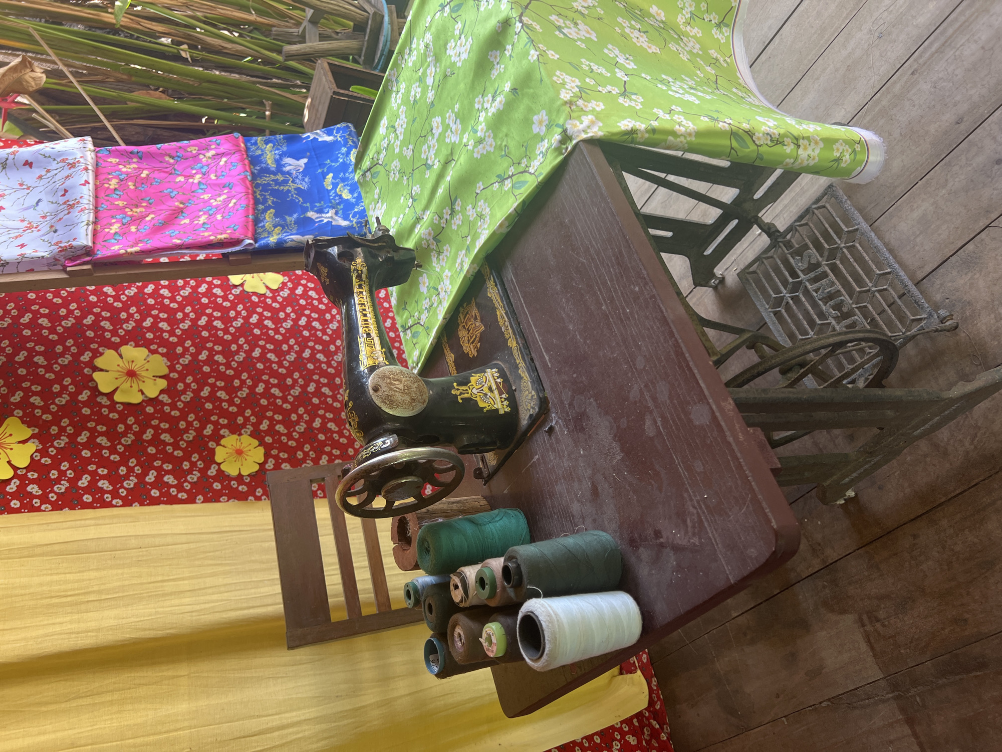 This is a medium shot, eye-level, horizontal outdoor photograph of a vintage sewing machine set up on a wooden table in what appears to be a workshop or market stall in Hoi An, Vietnam. The sewing machine is black with gold accents and a large handwheel. It is positioned on a dark brown wooden table, which is cluttered with spools of thread in various colors, including white, green, brown, and blue. A wooden chair with a slatted back is placed behind the table, partially obscured by the sewing machine.
The background is decorated with colorful patterned fabrics. To the left, a bright yellow fabric hangs as a backdrop, and to the right, a red fabric with large yellow flowers and white dots is visible. Further to the right, several folded pieces of fabric with floral and bird patterns are displayed vertically, suspended from a wooden structure. A large piece of bright green fabric with a delicate white floral pattern is draped over the right side of the table and extends onto the wooden floor.
The floor is made of weathered wooden planks. The overall impression is of a rustic, possibly traditional, sewing or craft area, typical of the artisanal environment found in the ancient town of Hoi An. There are no people visible in the image. The lighting suggests it is daytime, with natural light illuminating the scene.