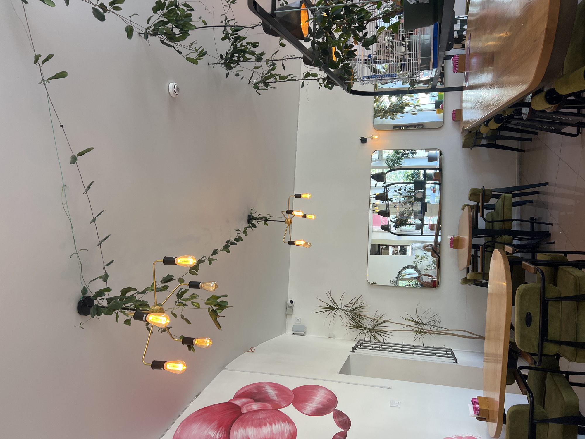 This image depicts the interior of a cafe in Odesa, Ukraine. The cafe is decorated with numerous hanging plants that trail from the ceiling, intertwined with the light fixtures. The ceiling itself is white, with multiple light fixtures, including a gold multi-armed chandelier with Edison bulbs and a darker, more industrial-looking fixture on the right.
The walls are white, with a large, abstract pink mural on the left side of the image. Furniture includes several wooden tables with green upholstered chairs and stools. Some tables are round or oval, while others are long and communal. Napkin dispensers with pink napkins are visible on some tables. Mirrors are strategically placed on the walls, reflecting the cafe's interior and creating a sense of depth.
In the background, a birdcage is visible, containing birds and plants. The overall ambiance appears to be natural and bohemian, with a focus on greenery and light. The flooring is a light-colored tile. There are no people clearly visible in the scene.