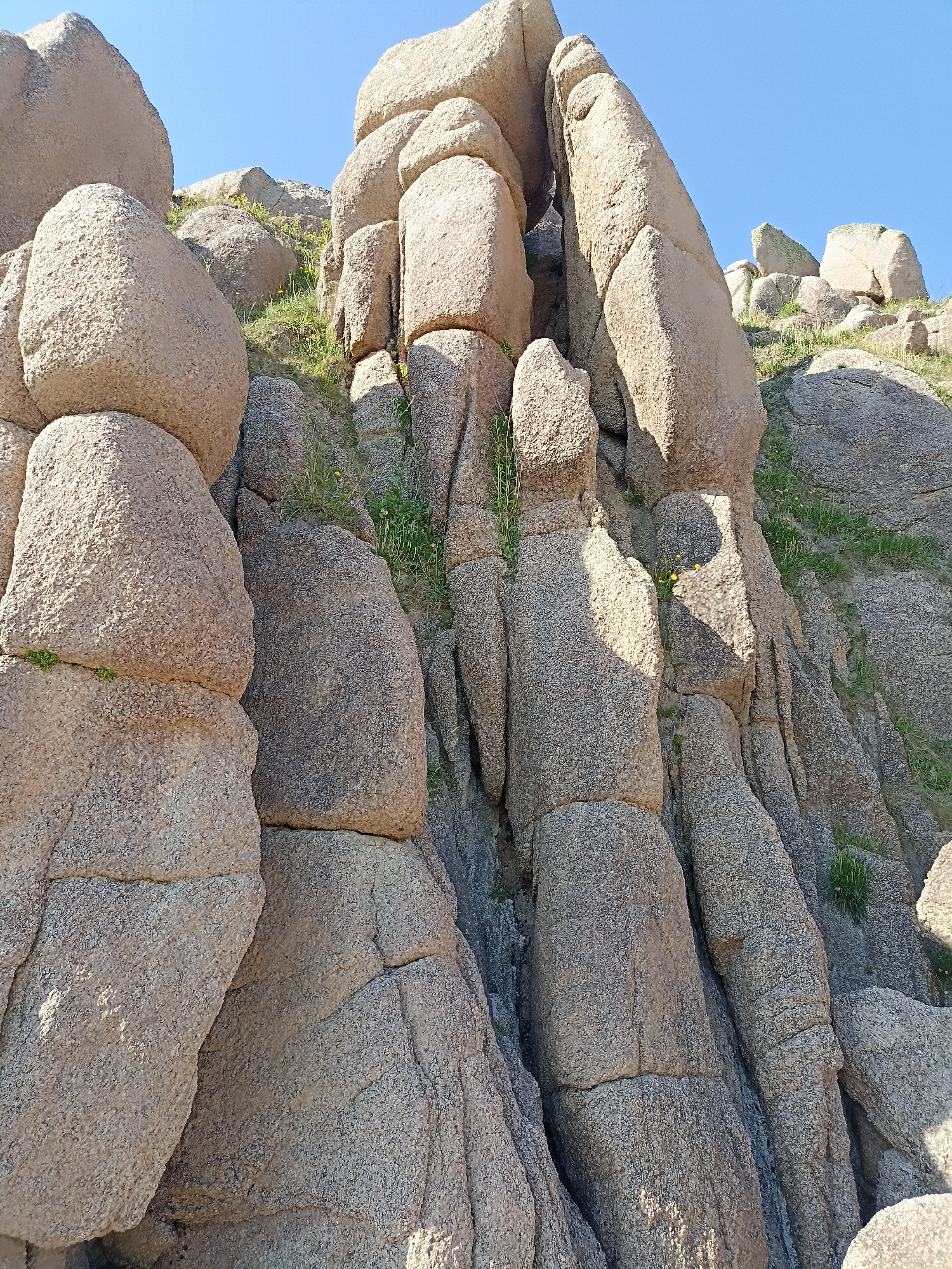 The image depicts a close-up view of a rock formation, likely granite, under a clear blue sky. The rocks are large, rounded, and weathered, with visible fissures and layered textures. Patches of green grass and a few small yellow wildflowers are growing in the crevices between the rocks, suggesting an outdoor, natural environment. The lighting indicates it is daytime, with sunlight casting shadows on the rocks, highlighting their three-dimensional forms. The scene appears to be a natural landscape, potentially a coastal area or hillside, given the ruggedness of the terrain. There are no people or man-made structures visible in the image. The location is identified as Carnboy, Ireland, a region known for its dramatic coastal scenery and geological features.