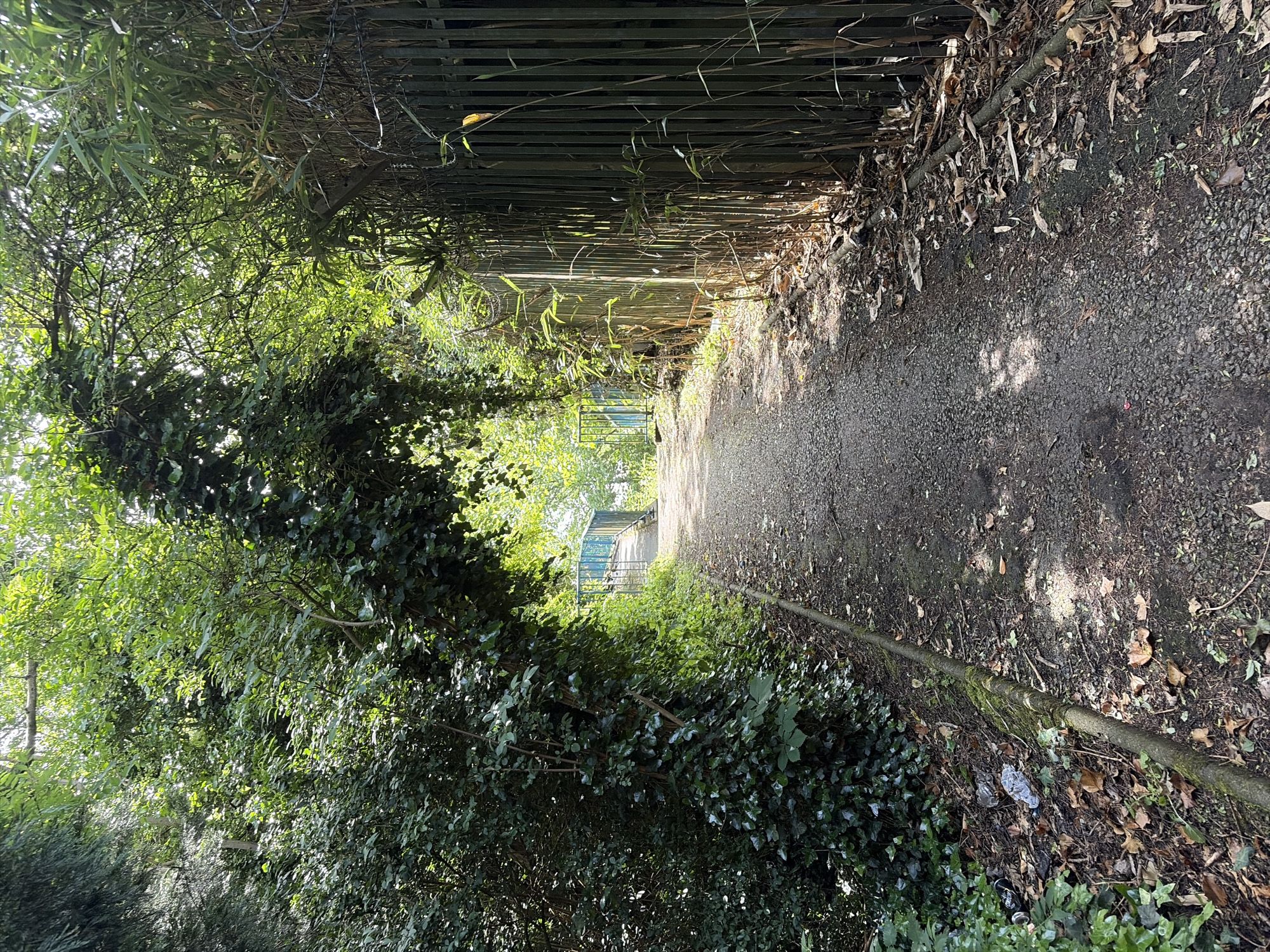 The image depicts a narrow path in Salford, United Kingdom, flanked by dense vegetation on one side and a wooden fence with overhanging bamboo on the other. The path's surface is gravel and dirt, covered with scattered leaves and debris. The lighting is dappled, creating patches of sun and shade along the path. At the path's end, a glimpse of a blue metal fence is visible. No people or animals are visible in the frame.