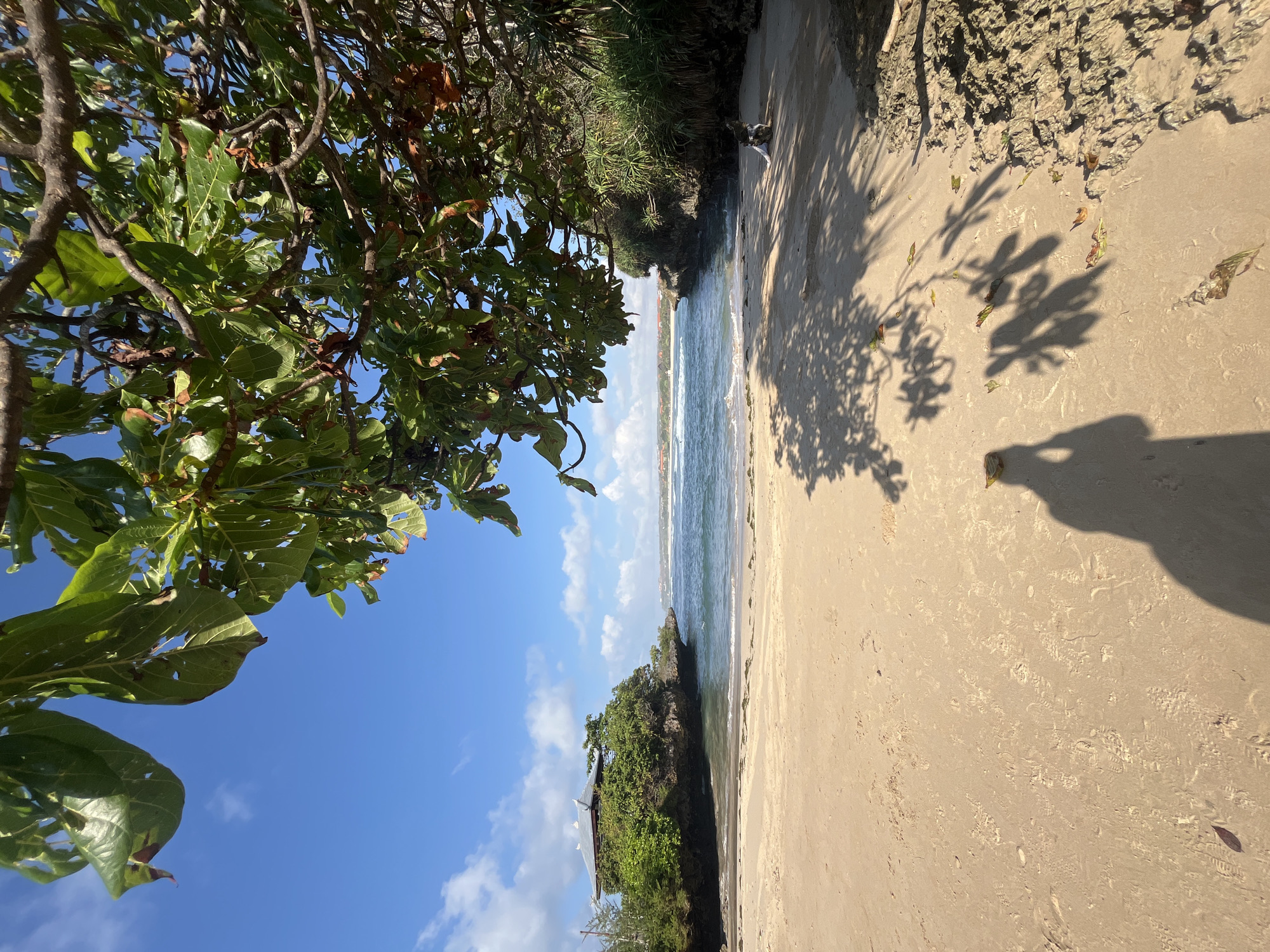 A serene beach scene unfolds under a bright blue sky with scattered clouds. Lush green foliage drapes from a tree in the foreground, casting dappled shadows on the sandy shore. The gentle waves of the ocean lap at the coastline, where a lone person sits near the rocky edge of the shore, facing the water. In the distance, a small island topped with a traditional-looking building emerges from the sea, nestled amongst verdant trees. The sandy beach is marked with footprints and scattered dry leaves, suggesting recent human presence. The overall ambiance is peaceful and idyllic, capturing a tranquil moment at the beach.