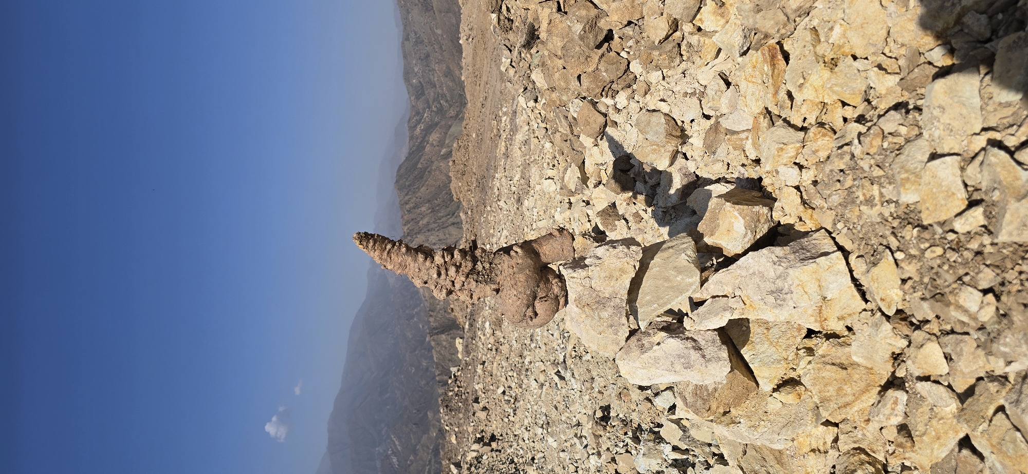 In the arid, mountainous landscape near Ak-Terek, Kyrgyzstan, a unique geological formation stands as the focal point of this vertical photograph. The object, resembling a vaguely anthropomorphic sculpture, is comprised of a rounded, bulbous base from which a spiraling, conical structure emerges. Its texture is rough and earthy, suggesting a natural erosion process or perhaps an ancient artifact. This formation rests atop a cairn of light-colored stones, carefully stacked to provide a pedestal. The surrounding environment is a barren expanse of rocky terrain, with smaller stones and gravel covering the ground. In the background, rolling mountains recede into the distance under a clear, vibrant blue sky dotted with a single, wispy cloud. The scene is bathed in bright sunlight, casting distinct shadows. There are no people or animals visible in the image.