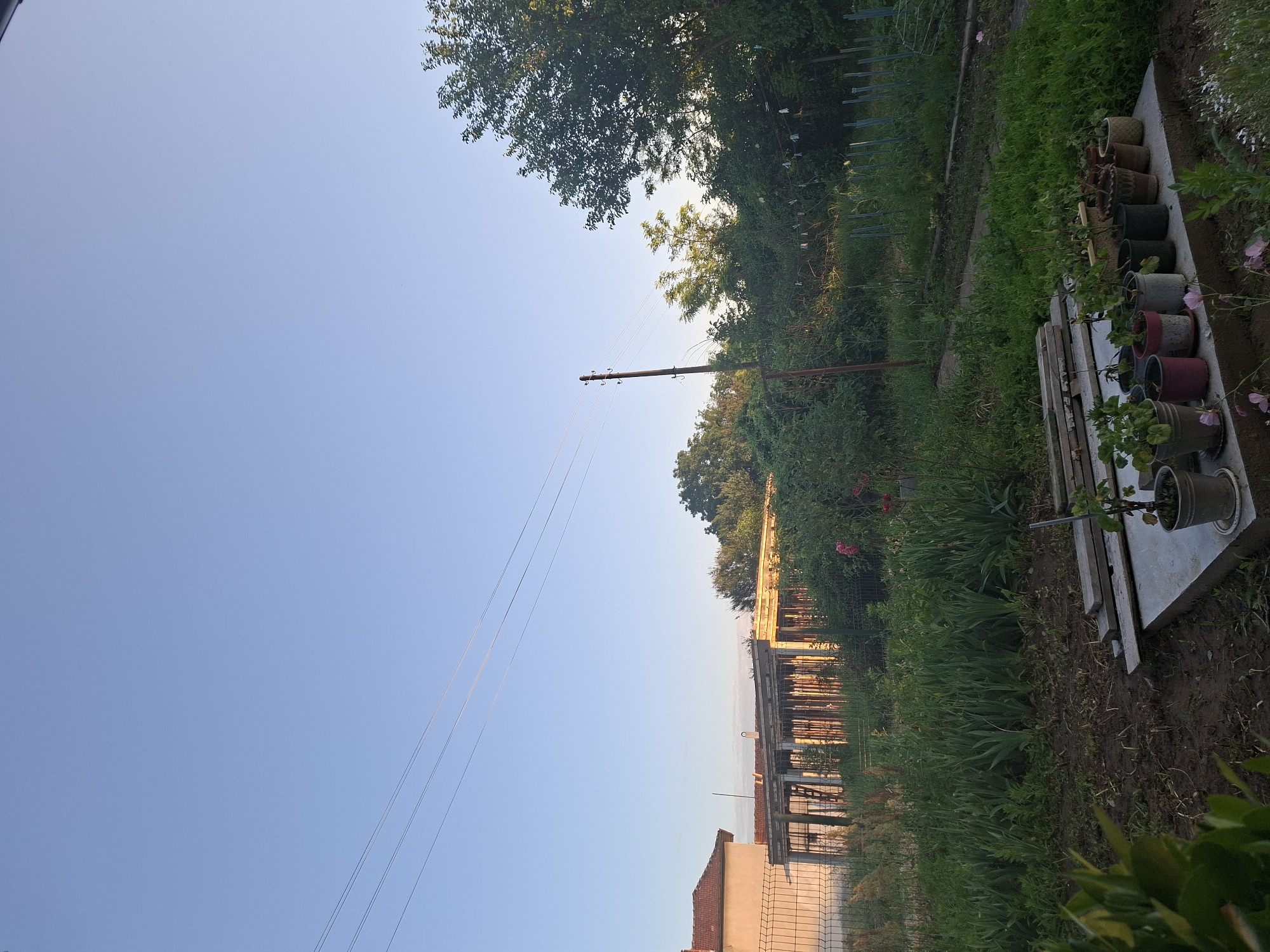 This media file presents an outdoor scene in Yasen, Bulgaria, likely a garden or backyard area under a clear, light blue sky. The image is bathed in the golden light of either late afternoon or early morning.
In the foreground and midground, a green, somewhat unkempt grassy or garden area dominates, interspersed with patches of soil. To the right, a row of potted plants, some containing small green plants and a few with delicate pinkish flowers, rests on a long, narrow concrete slab or bench. Further back on the right, dense green foliage and trees form a natural boundary.
On the left side of the frame, a tall, dark wooden utility pole stands prominently, from which several parallel power lines stretch across the clear sky, disappearing towards the left horizon. In the background, beyond a visible wire fence, there are structures that appear to be houses or buildings under construction, with visible skeletal frameworks or scaffolding catching the warm sunlight. Lush trees and bushes also line the distant horizon.
No people are visible, and no specific activity is taking place; the image captures a static, peaceful moment. The overall impression is one of quiet rural life on a bright, sunny day. There is no visible text in the image.
