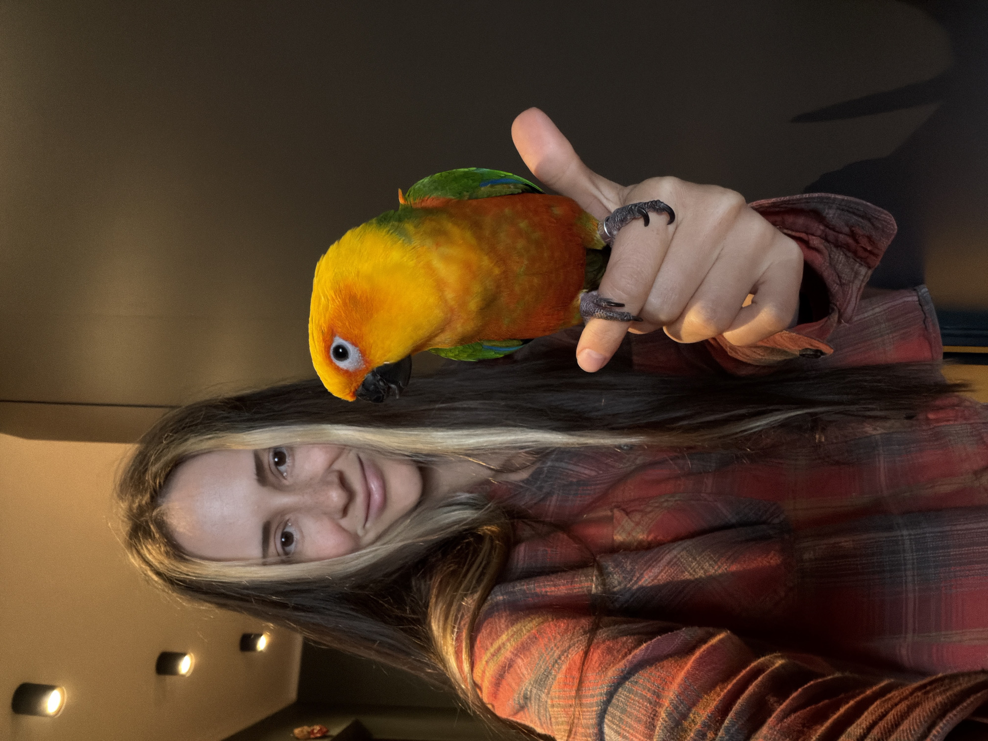 In this vertically oriented, close-up, indoor photograph, a young woman is posing with a brightly colored Sun Conure parrot perched on her thumb. The woman has long, brown hair with blonde highlights and is looking towards the camera with a gentle smile. She is wearing a red and black plaid shirt. The parrot, with its vibrant yellow, orange, and green plumage, is looking to the left and gripping the woman's thumb and forefinger with its sharp claws. The background is a dark, smooth wall, and a shadow is cast on it, suggesting artificial lighting. The lighting also illuminates the woman's face and hair, creating a warm glow. A few small, circular lights are visible on the wall in the lower portion of the image. The overall mood is relaxed and affectionate, highlighting the bond between the woman and her pet. The image appears to have been taken at night or in a dimly lit room, given the dark background and artificial lighting. The location context provided is Khimki, Russia. There is no visible text in the image.