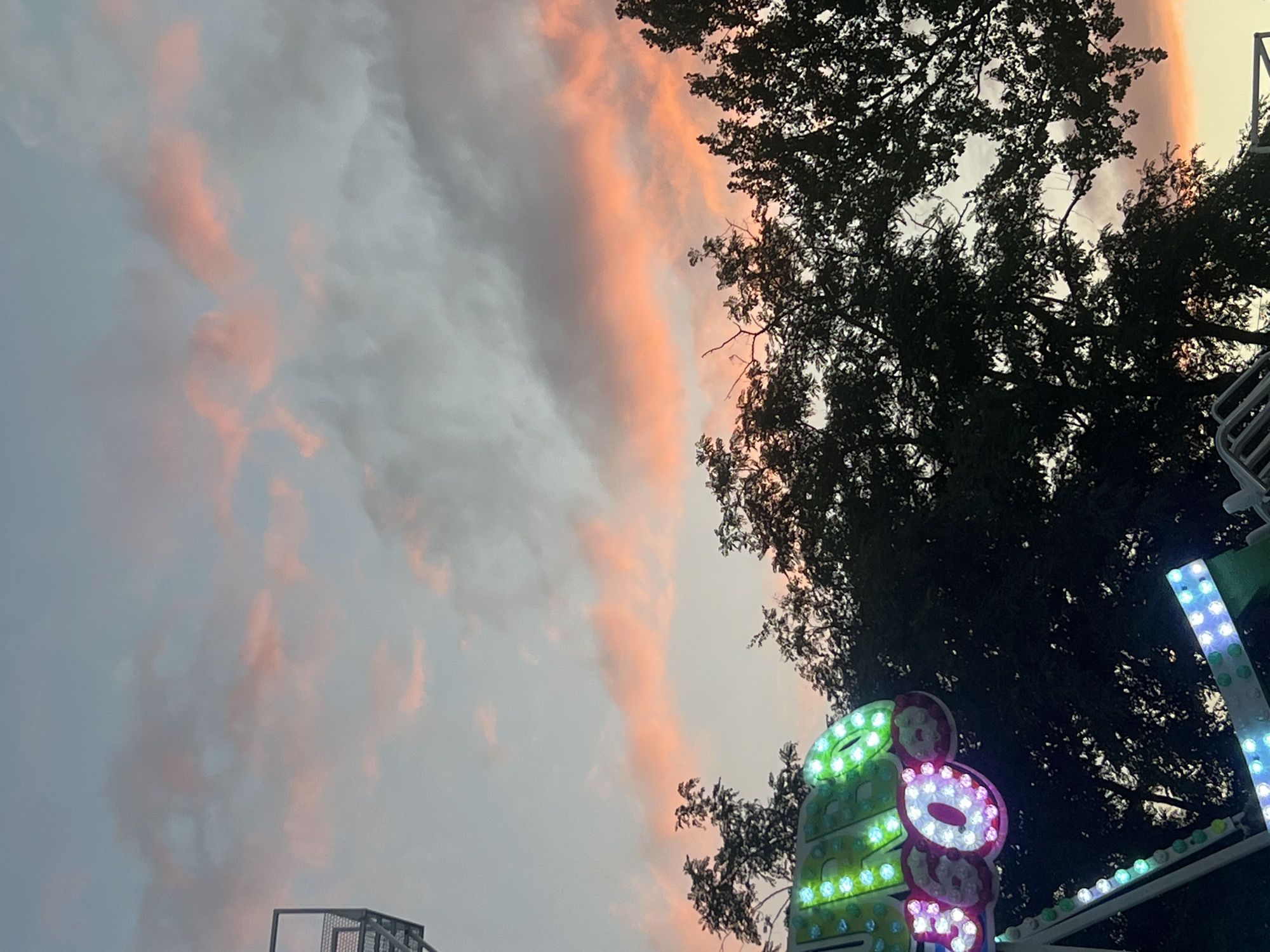 This is a vertical, medium shot of a carnival ride at dusk, viewed from a low angle, with the sky and trees dominating the upper half of the frame. The sky is a soft gradient of pale blue and grey, with streaks of pink and orange clouds, suggesting sunset. Silhouetted against the sky are the dark, leafy branches of trees. A portion of a brightly lit carnival ride is visible in the lower left corner. The ride features large, illuminated numbers "360" in green, pink, and white lights, along with decorative pink and green accents. The structure of the ride, with metal framing and more strings of lights, extends downwards and to the right. A tall, metal lattice structure is visible in the upper left corner, also silhouetted against the sky. The scene is set in Golubitskaya, Russia, a seaside resort town known for its amusement attractions. There are no people visible in the image.