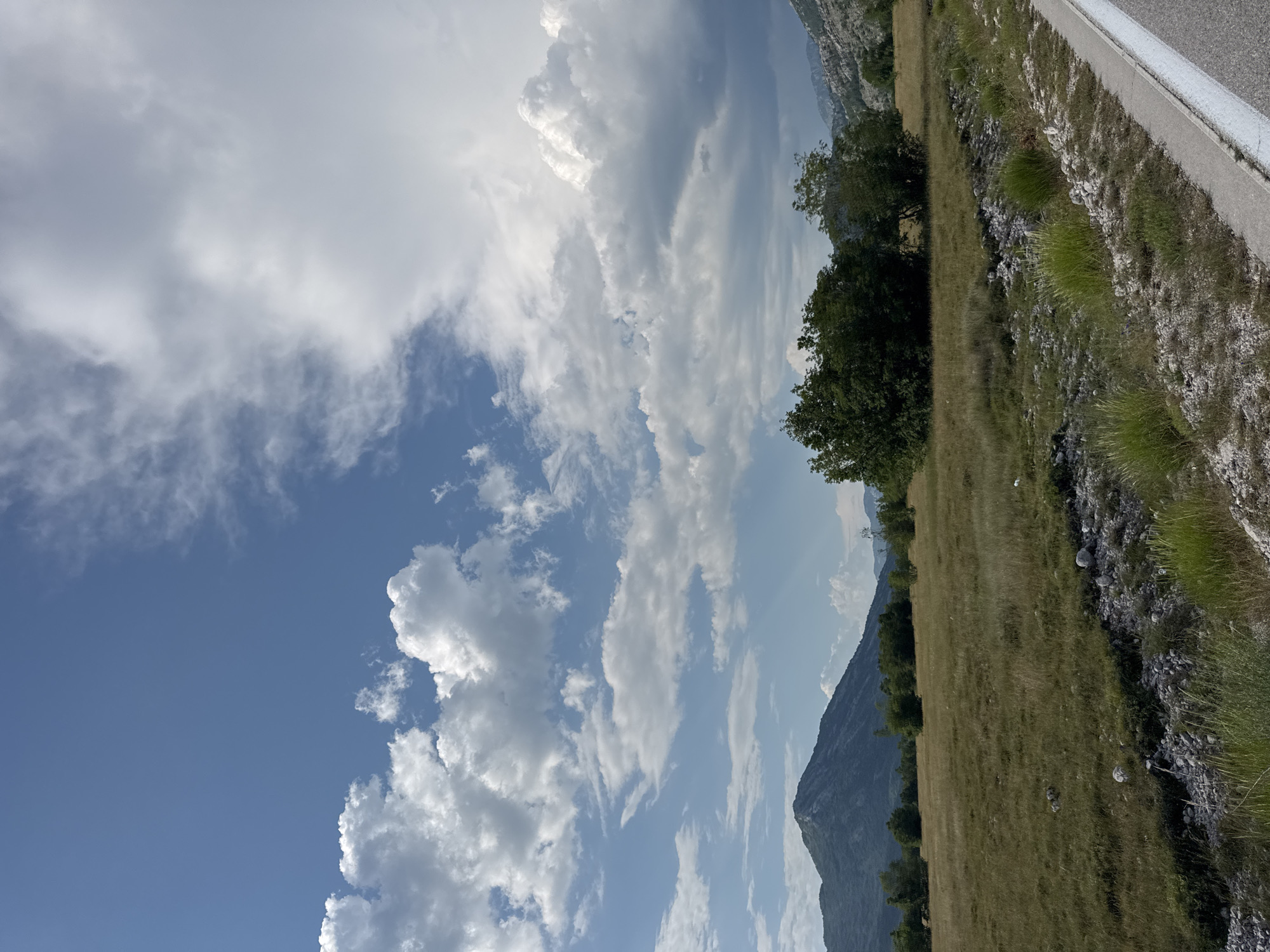 This is an outdoor, eye-level, vertical-format photograph taken from the side of a paved road, likely in the rural area of Dragalj, Montenegro. The scene depicts a vast, open field of dry, golden-brown grass dotted with rocks and some patches of green vegetation, leading towards a line of trees in the middle ground. Beyond the trees, a large, imposing mountain range dominates the background, its slopes covered in dark green foliage and rocky outcrops. The sky is a vibrant blue, filled with a mix of fluffy white cumulus clouds and more diffused, greyish clouds, suggesting a dynamic weather pattern. A portion of the road, with a white line marking its edge, is visible in the lower right corner of the frame. There are no people or animals present in the image.
