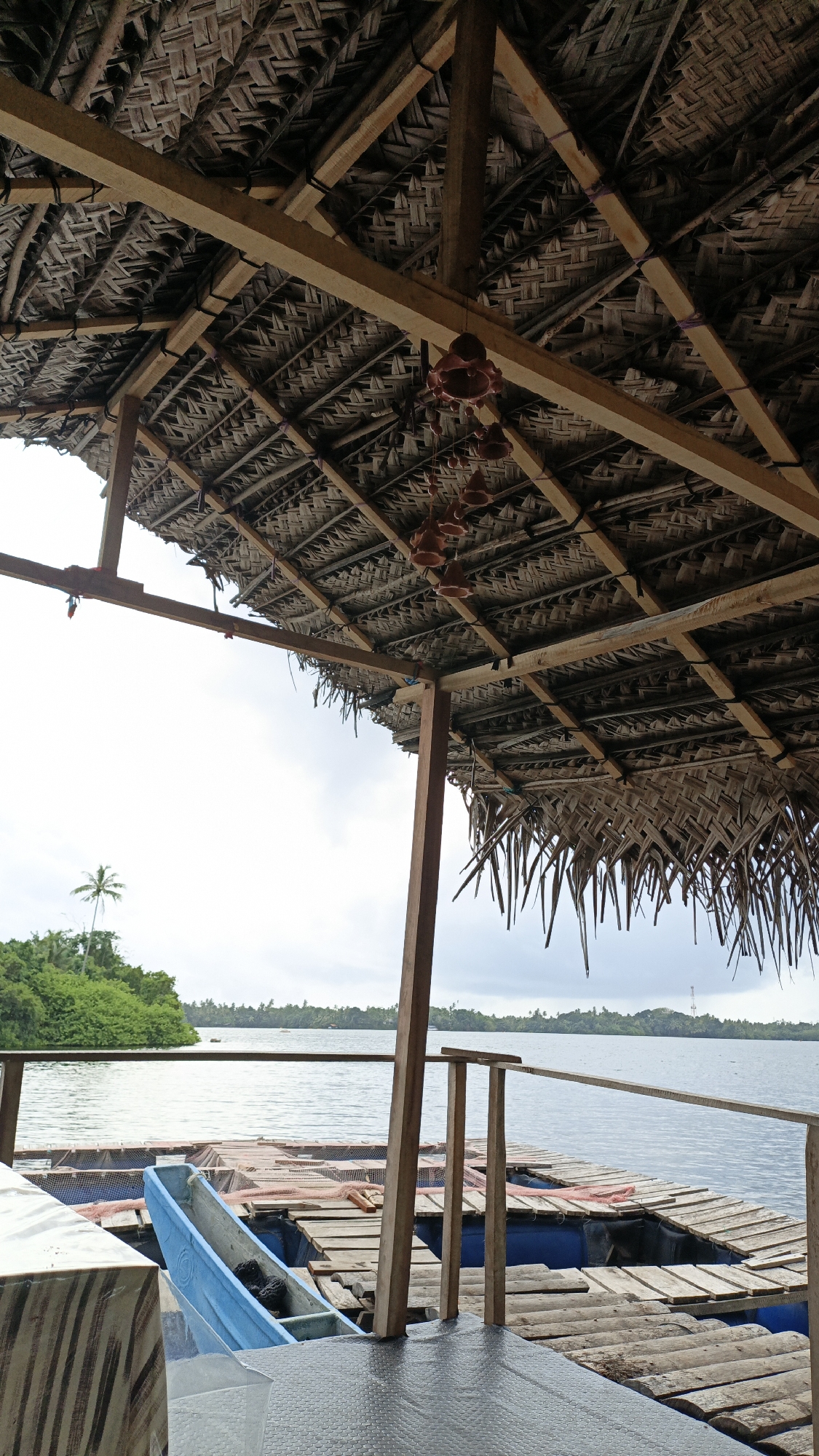 The image depicts a rustic, open-air structure with a thatched roof, likely a hut or shelter, built over a wooden platform extending over water. The roof is constructed from dried palm fronds woven together and supported by rough wooden beams. Decorative elements, possibly small clay bells, hang from strings beneath the roof.
The platform itself appears to be made of planks laid over what seem to be floating pontoons or rafts, indicated by blue barrels visible beneath the wooden surface. Several structures, possibly fish farms or aquatic enclosures, with netting, are visible on the water.
In the foreground, a bright blue, narrow boat is partially visible, resting on the wooden platform. Wooden railings line the edges of the platform, providing safety. Beyond the platform, a body of calm water stretches out, with a distant green, treed shoreline. A lone palm tree stands out against the slightly overcast sky on the left side of the frame. The overall scene suggests a tranquil, waterside location, possibly a fishing village or a recreational spot. The image was taken in the vicinity of Rajgama, Sri Lanka, an area known for its coastal and aquatic environments.