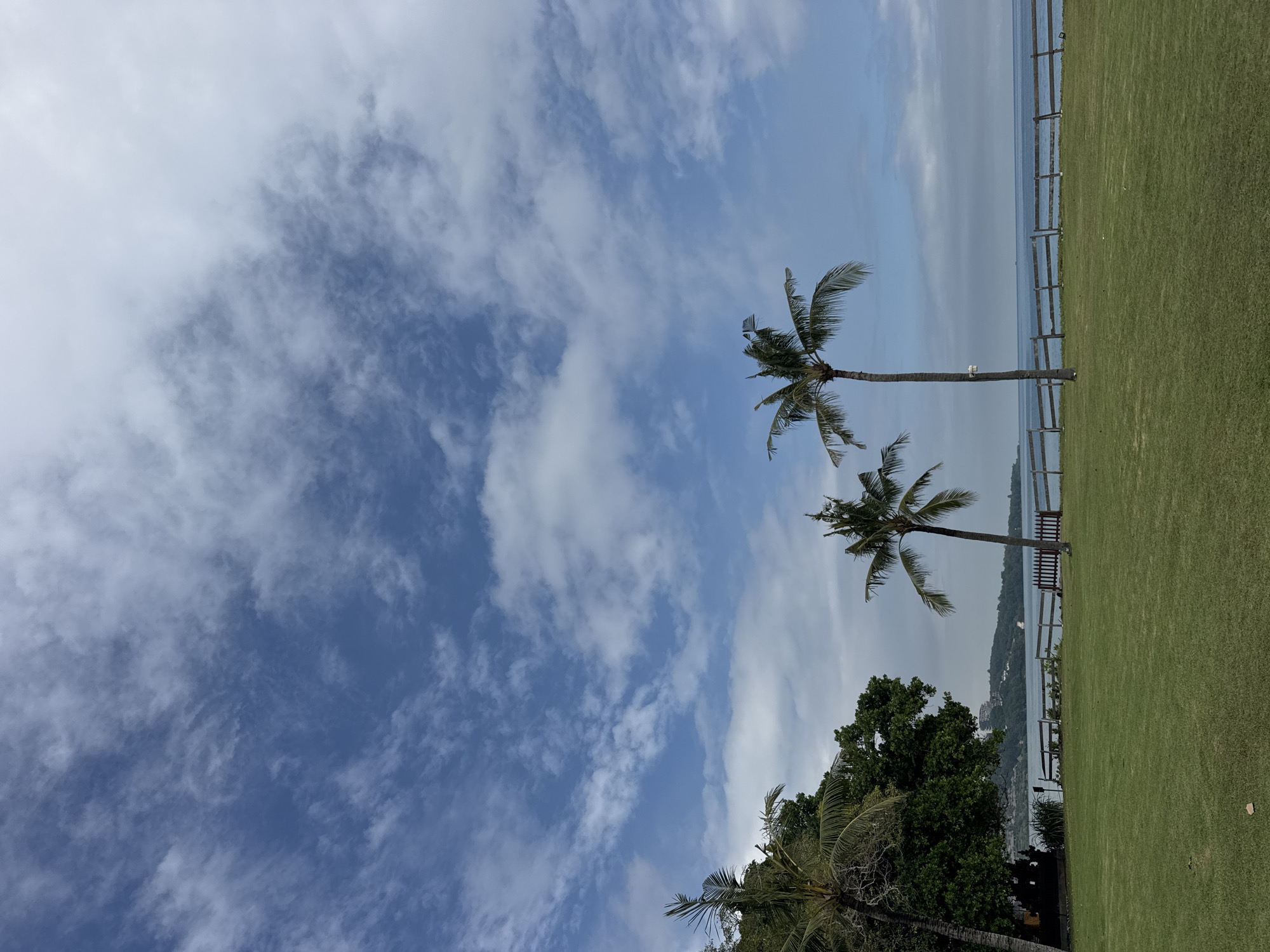 The image depicts a scene in Kuta Selatan, Indonesia, with palm trees against a partly cloudy sky. A green lawn extends to a wooden fence bordering the water. The horizon line separates the water from the sky. Lower in the frame, other trees are visible.