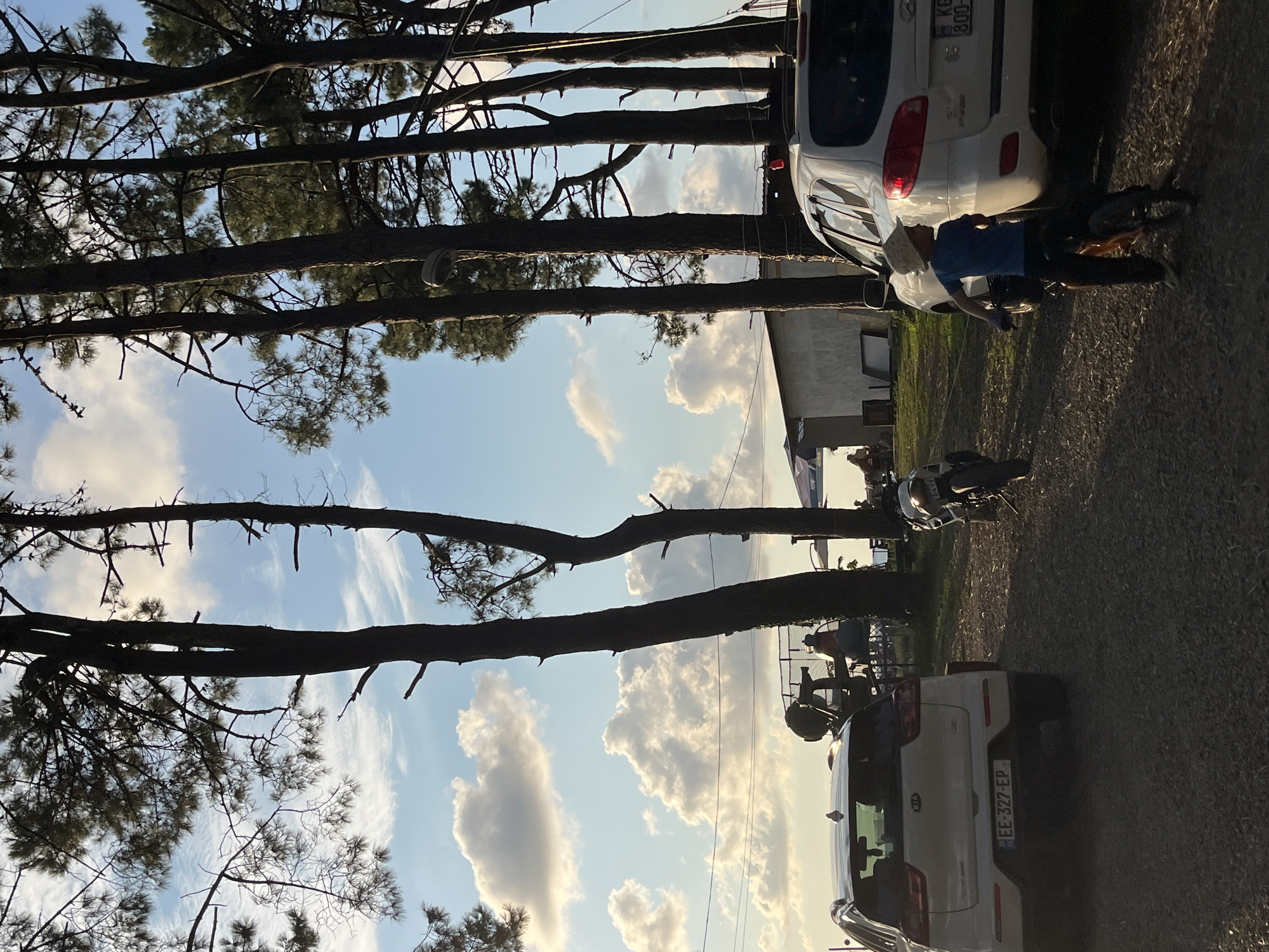 The image depicts a scene in Ureki, Georgia, likely near the coast, characterized by tall pine trees casting shadows on a gravelly area. In the foreground, a white Kia SUV is parked on the left, facing away from the viewer, with its license plate visible as "EE-327-EP". To the right of the Kia, a person is riding a bicycle, wearing a blue shirt and a straw hat. Further to the right, a white Hyundai SUV is parked, its license plate partially visible. A motorcycle is parked between the two SUVs, facing left. In the background, several people are seated, some appearing to be at tables. Buildings with corrugated roofs are visible behind the people. The sky is a mix of blue with fluffy white clouds, suggesting it is daytime. The overall atmosphere appears relaxed, possibly a recreational area or park.