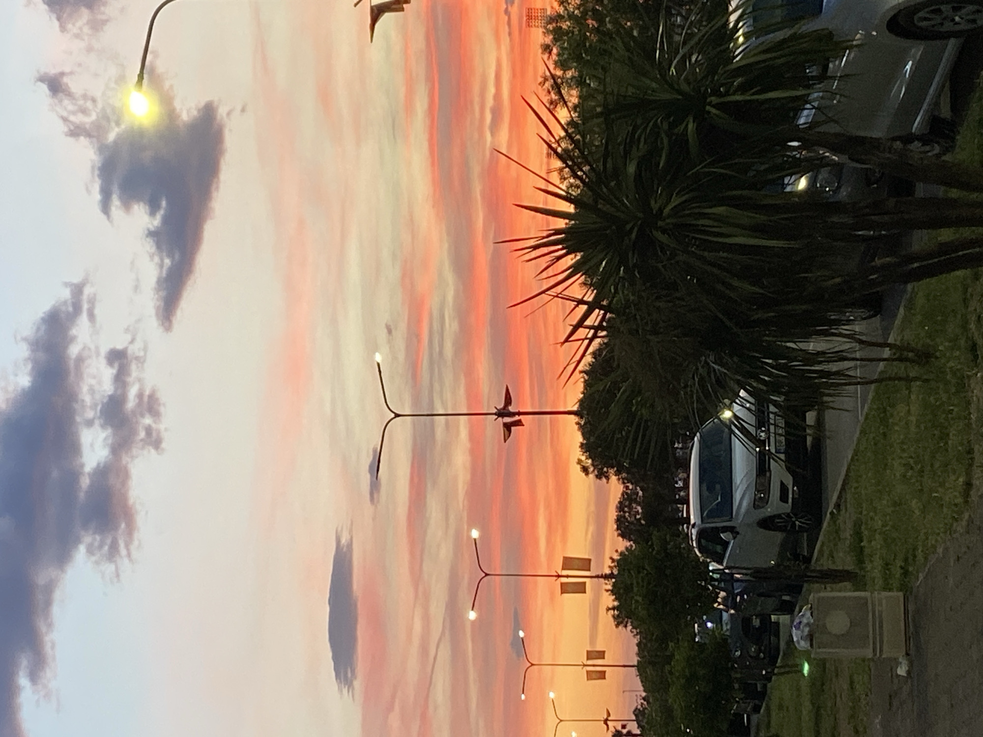 The image captures a dusk or dawn scene in Bar, Montenegro, characterized by a vibrant sky transitioning from orange and pink hues to a softer blue-grey. The foreground features palm-like trees lining a road or sidewalk, along which parked vehicles, including a white van, are visible. Streetlights illuminate the scene, some lit and others unlit. A concrete structure, potentially a utility box or trash receptacle, sits near the sidewalk. The sky is partially obscured by dark, irregular-shaped clouds.