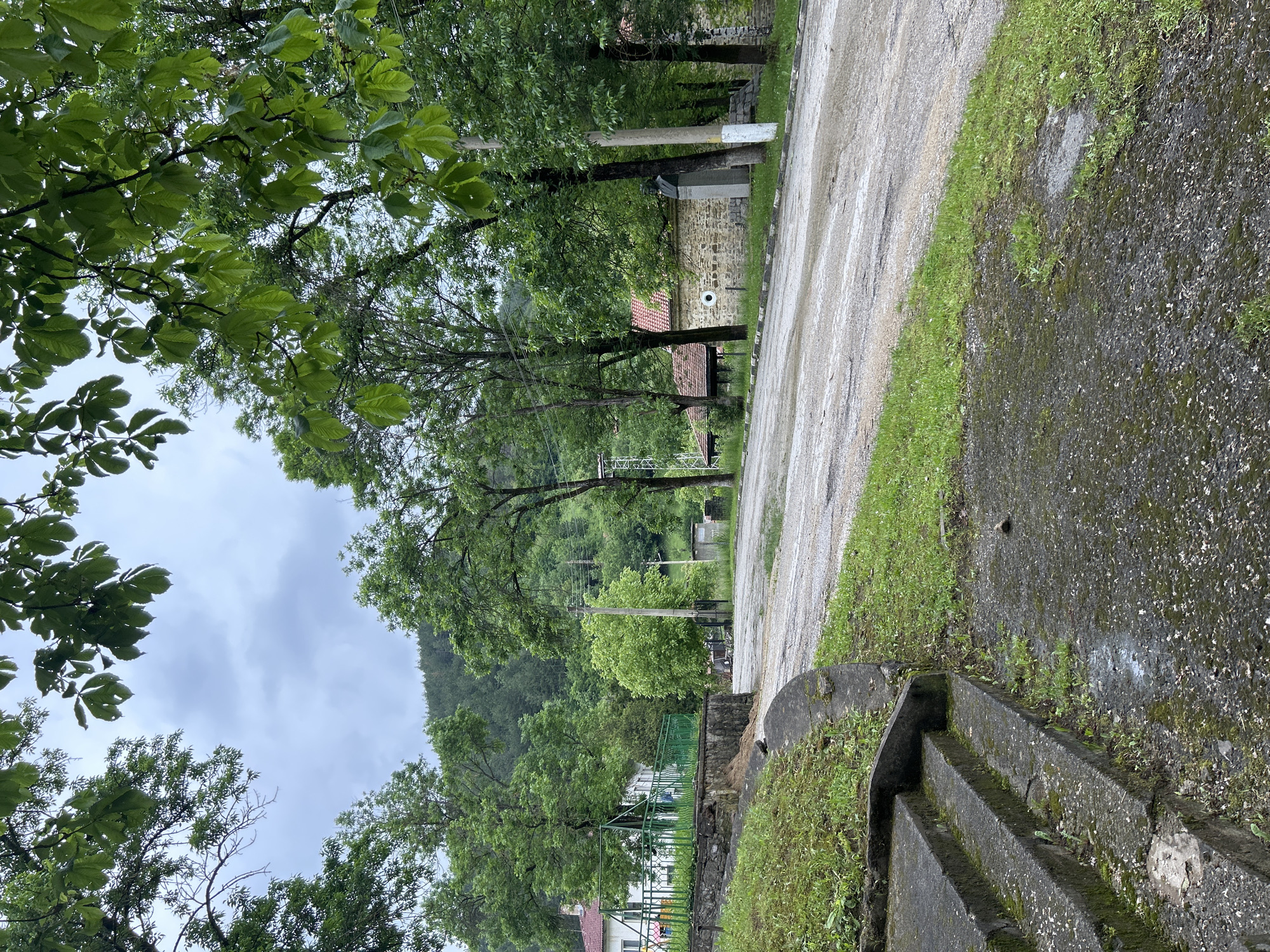 The image depicts an outdoor scene with a winding, wet road running through a wooded area, likely in Unknown, Unknown. The road surface shows signs of recent rain with water streaks and a reflective sheen. A concrete barrier or wall with steps runs along the right side of the road, covered in patches of moss and grass. Lush greenery dominates the view, with trees lining both sides of the road, their branches forming a partial canopy overhead. In the distance, a hillside covered with trees is visible. Along the road, there are utility poles and glimpses of buildings and structures through the trees, suggesting a settled or residential area. The sky appears overcast, indicating a cloudy or rainy day.