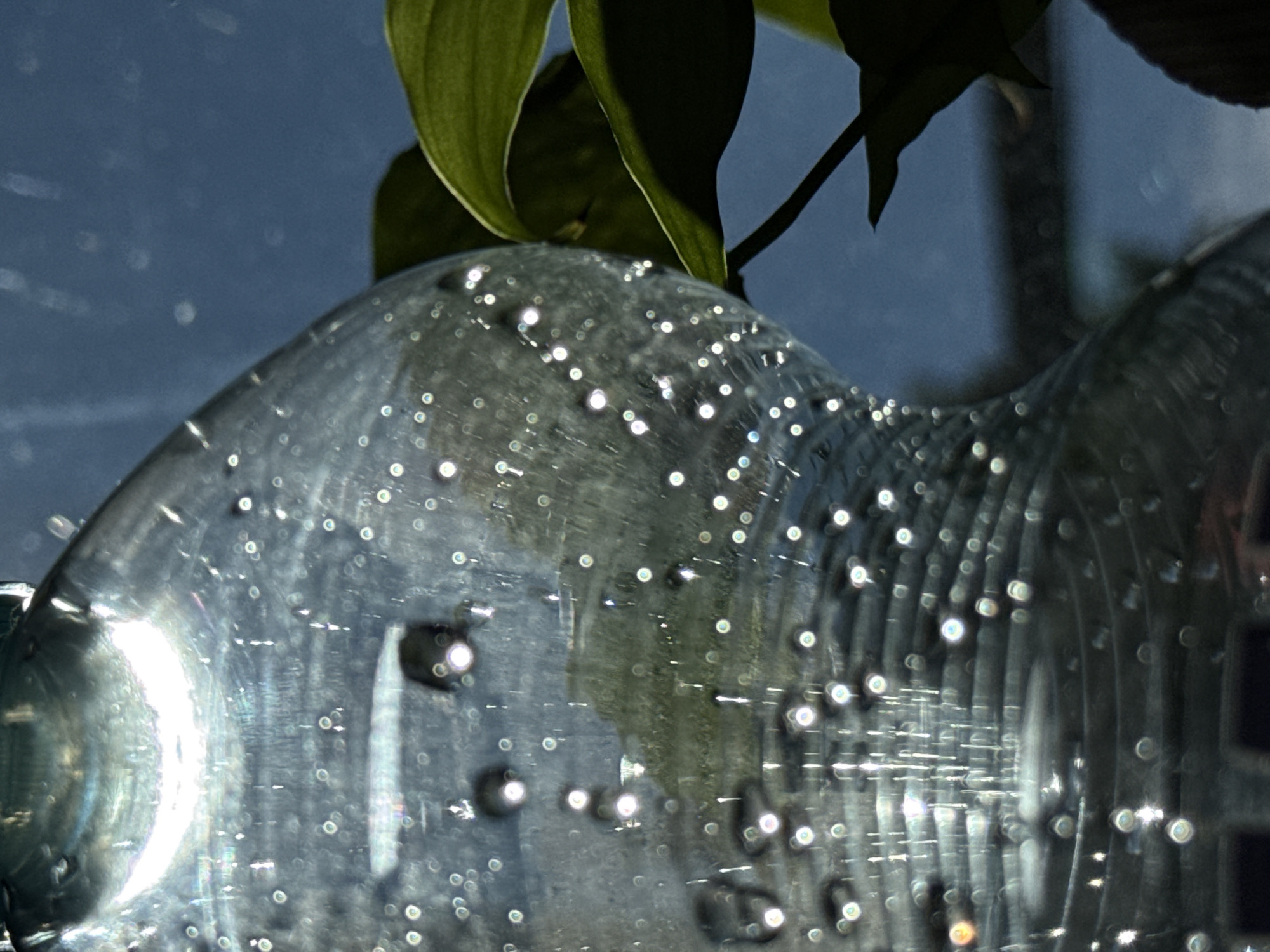 The image is a close-up, macro shot of a clear plastic bottle filled with a clear liquid, possibly water, with numerous small air bubbles trapped within. The bottle has a textured surface with horizontal ridges. Light is refracting through the bottle and the bubbles, creating bright specular highlights. In the background, out of focus, are dark green leaves of a plant and a blurry blue background, suggesting an indoor or outdoor setting with natural light. There is no indication of the city of Łódź, Poland, in this image.