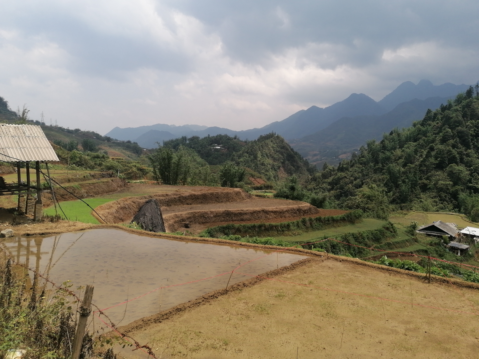 This panoramic image captures a vast, terraced agricultural landscape under a cloudy sky, characteristic of mountainous regions like Sa Pa Ward, Vietnam.
In the foreground, a large, rectangular rice paddy filled with shallow, muddy water dominates the lower left and central portions of the frame. Thin red strings or ropes are stretched across this paddy, possibly marking planting areas. To the left, a rustic, open-sided shelter or shed with a corrugated metal roof is partially visible, its wooden supports reflected in the water. A barbed wire fence and some wild vegetation line the very front edge of the scene.
Moving into the mid-ground, a series of meticulously carved terraced fields ascend the hillside. Some terraces display bare, rich brown earth, while others are dotted with patches of vibrant young green plants, likely rice seedlings. A large, dark rock is prominently situated within one of the brown terraces. Beyond these cultivated fields, the hillsides are densely covered with lush green trees and vegetation. A few small, distant houses with dark roofs are nestled amongst the greenery.
The background is characterized by majestic, layered mountains, their forms softened and hazy against the horizon due to atmospheric perspective. The sky above is entirely overcast, filled with various shades of gray clouds, indicating a cloudy day with diffused light. The overall scene suggests a tranquil, rural setting where traditional rice cultivation is underway. No specific human activity is depicted, but the prepared fields imply ongoing agricultural work. There is no visible text in the image.