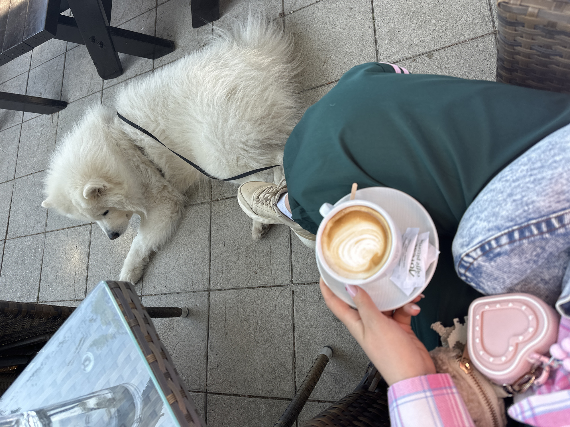 A person is seated at an outdoor café table in Šušanj, Montenegro, holding a cup of coffee with latte art. The person wears green pants, a denim jacket, and a pink plaid shirt. A white Samoyed dog lies on the tile floor near the person's feet, connected by a leash. A small pink heart-shaped purse rests on the person's lap. The cafe furniture is dark wicker and glass, with a view of the stone-tiled ground.