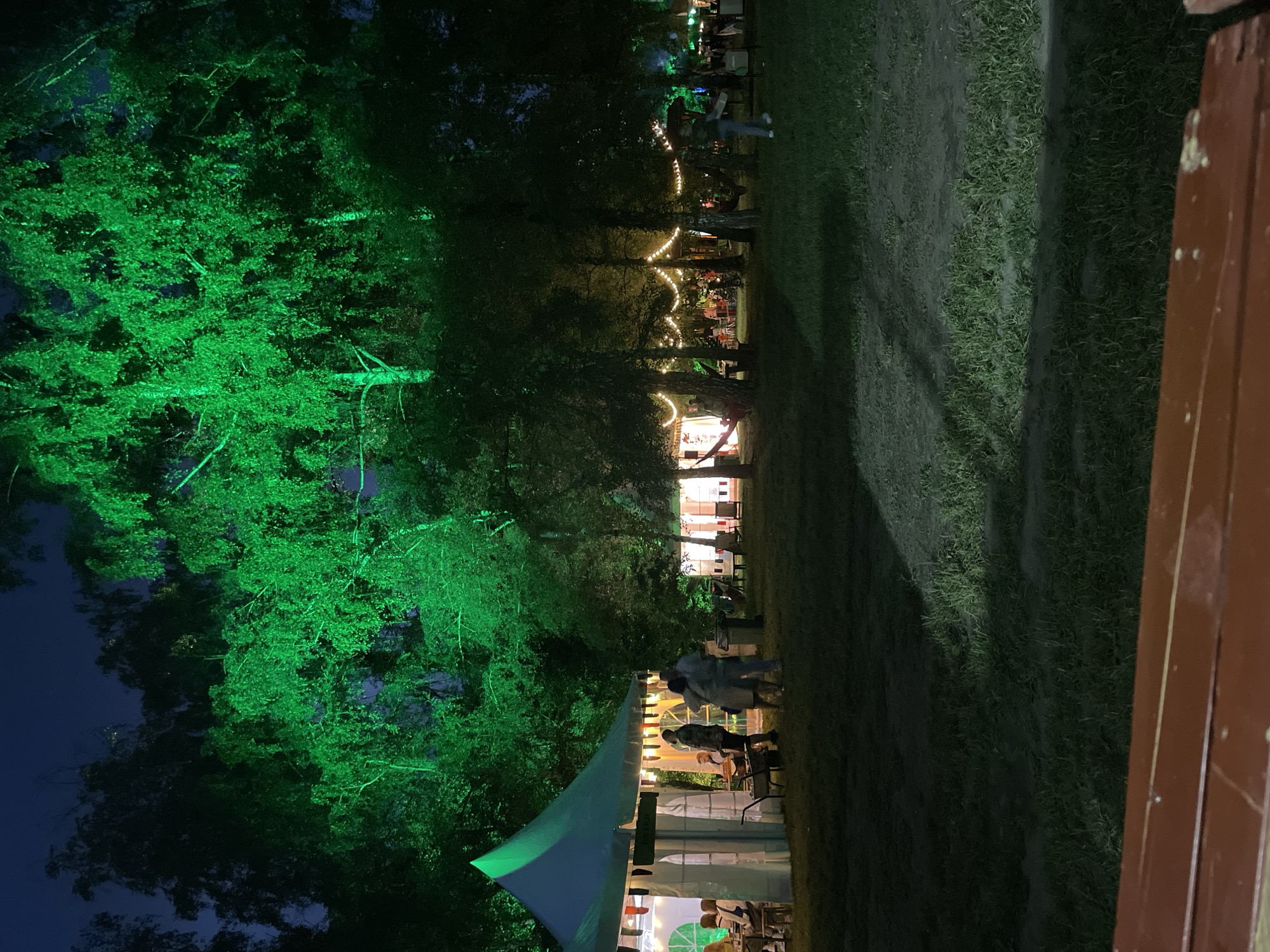 The image captures an outdoor night scene within the Sremski Karlovci Municipality, Serbia, depicting an illuminated park-like setting. The foreground features a reddish-brown wooden surface, likely a bench or table edge, with green grass and dirt patches beyond it, partially illuminated by a diagonal light beam.
To the left, a prominent white marquee tent with a pointed roof stands. Its exterior is adorned with small, colorful flags. Inside the tent, several individuals are visible, seated at tables. A group of approximately four people stands near the tent's entrance, engaging in conversation or embrace. A white wheelbarrow is positioned nearby.
The central and right portions of the midground are occupied by numerous trees, many of which are strung with warm, glowing string lights, creating a festive ambiance. Hammocks are visible suspended between some trees, and several individuals are scattered throughout this area, some walking or standing. One person is seen walking towards the right, carrying a flat object. Further back on the right, another smaller white tent is partially visible, also illuminated by string lights.
The upper section of the image showcases the dense canopy of trees against a dark blue night sky. A significant number of these trees, particularly in the upper-left and central areas, are intensely illuminated with bright green light, providing a striking contrast to the darker surrounding foliage and sky.