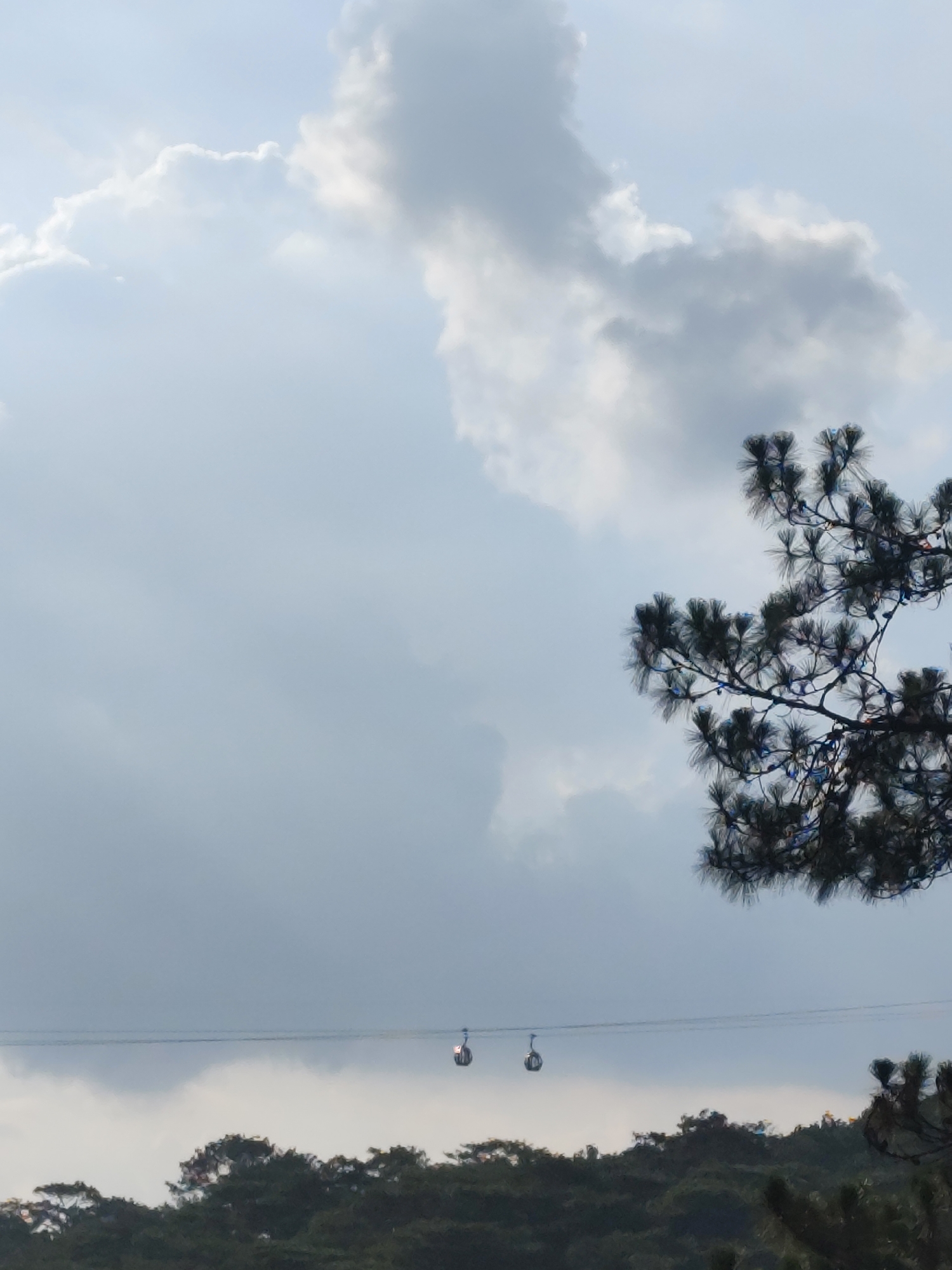 The image captures a scenic view in Da Lat, Vietnam, featuring a cable car system against a backdrop of lush green hills and a partly cloudy sky. The sky is predominantly light blue with large, puffy white and gray clouds occupying the upper portion of the frame. In the middle ground, a cable car line stretches across the image, with two gondolas visible, suspended between the support towers. The foreground includes foliage, particularly a pine branch with needles, which adds depth and frames the scene. The overall environment suggests a hilly or mountainous region, characteristic of Da Lat's topography.