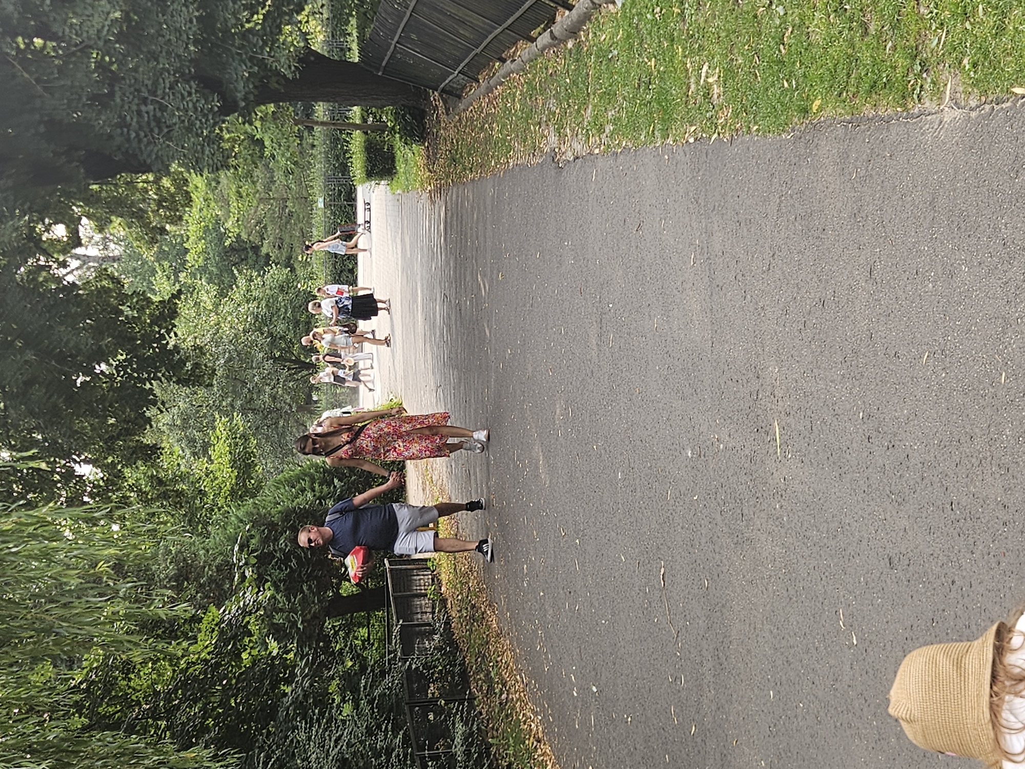 A man and a woman are walking hand-in-hand on a paved path in Lazienki Park, Warsaw, Poland. The man is wearing a dark blue t-shirt, grey shorts, and black sneakers. He is carrying a red and yellow object in his left hand. The woman is wearing a floral print dress and white sneakers. Several other people are visible in the background, some walking and others standing. The path is bordered by lush green trees and grass on both sides. A dark metal fence runs along the right side of the path. The ground is littered with fallen leaves. The overall scene depicts a pleasant day in a park.