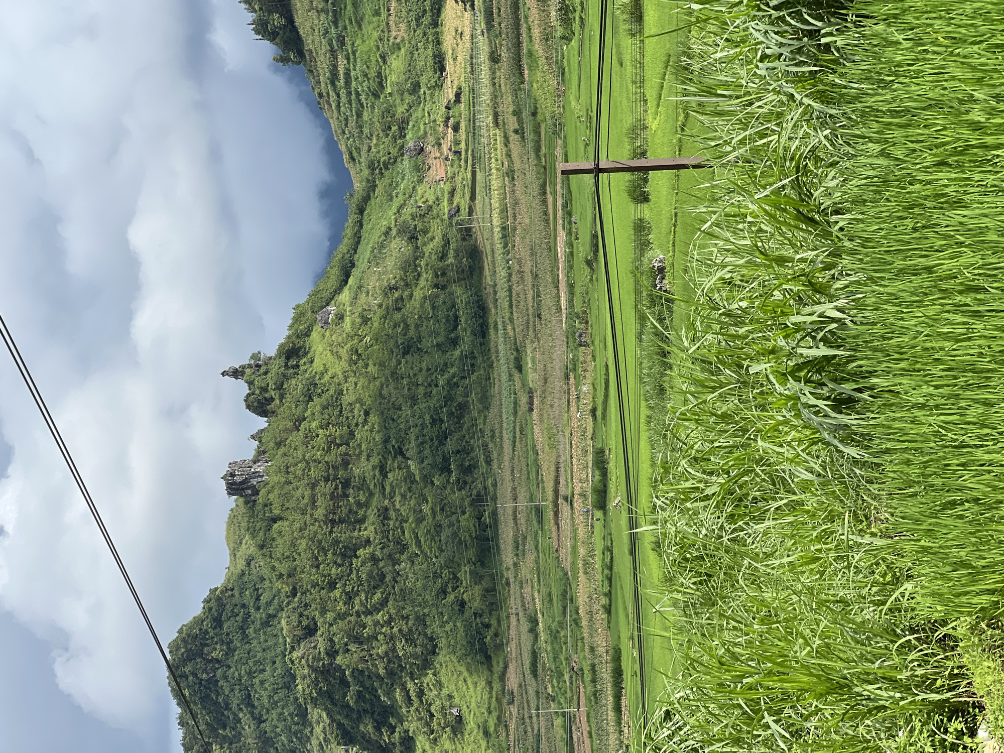 This image depicts a scenic rural landscape in Quản Bạ Commune, Vietnam. The foreground is dominated by lush, tall green grass, obscuring the lower portions of the scene. Beyond this, terraced fields of varying shades of green and brown stretch across a gently sloping valley. These fields appear to be cultivated with crops like rice or corn, with some areas showing signs of recent harvesting or planting. Scattered throughout the fields are a few small, dark figures, possibly people working or tending to the crops, and several wooden poles supporting overhead wires. In the mid-ground, a narrow road or path winds through the agricultural landscape. The background features rolling hills covered in dense green vegetation, with jagged rock formations protruding from the summits of some of the peaks. The sky above is a mix of cloudy gray and patches of lighter sky, suggesting an overcast or transitional weather condition. The overall impression is one of a tranquil, agriculturally active, and naturally beautiful mountainous region.