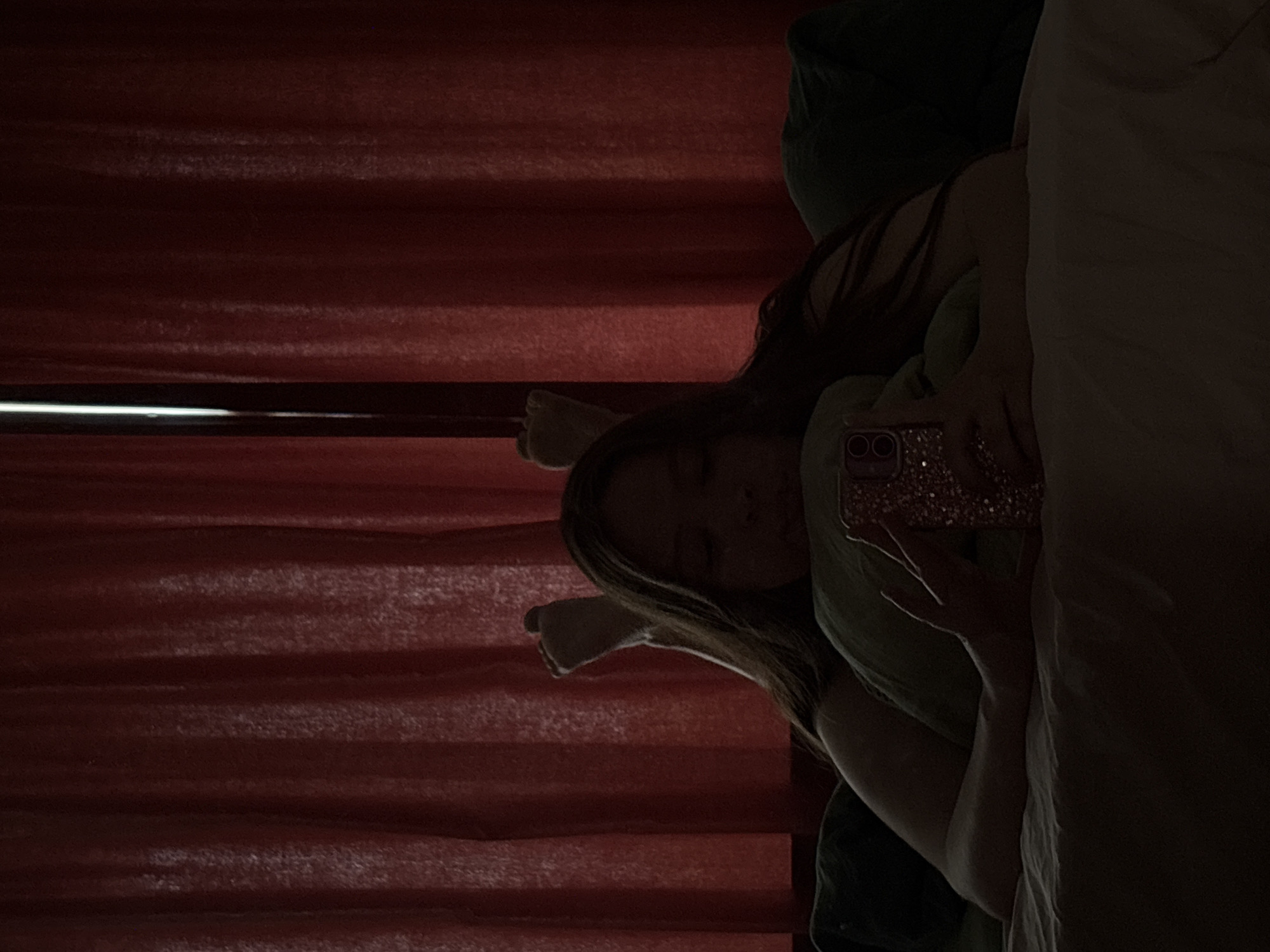 A person is in a room with a red window blind. The person is holding a phone. There are a green stuffed animal, a dark green pillow, and a white bedsheet in the image. The location is Chaikovsky, Russia.