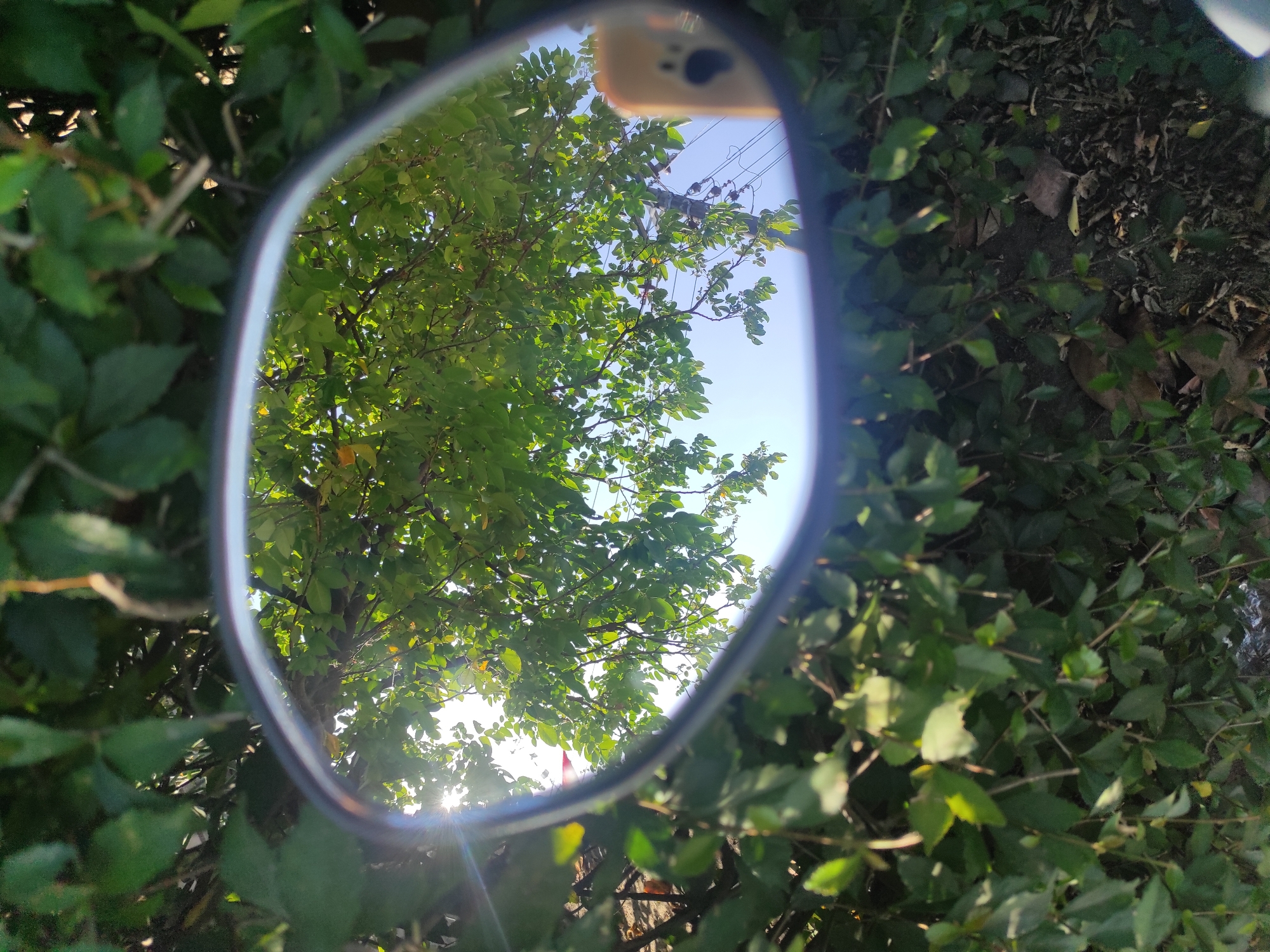The image shows a close-up, downward-angled shot of a motorcycle's side-view mirror, reflecting a sunlit canopy of green leaves and a clear blue sky. The mirror itself is oval-shaped with a metallic rim and is positioned against a backdrop of dense green foliage. The reflection in the mirror captures the bright sunlight filtering through the leaves, creating lens flare effects. In the upper right portion of the reflection, a small, light-colored object with a dark imprint resembling a paw print is visible, suggesting it is a keychain or charm attached to the mirror. In the distance within the reflection, a utility pole with wires and a light blue sky are discernible. The surrounding environment outside the mirror appears to be natural foliage, with some dried leaves and debris on the ground at the bottom of the image. The image was taken in Pleret, Indonesia.