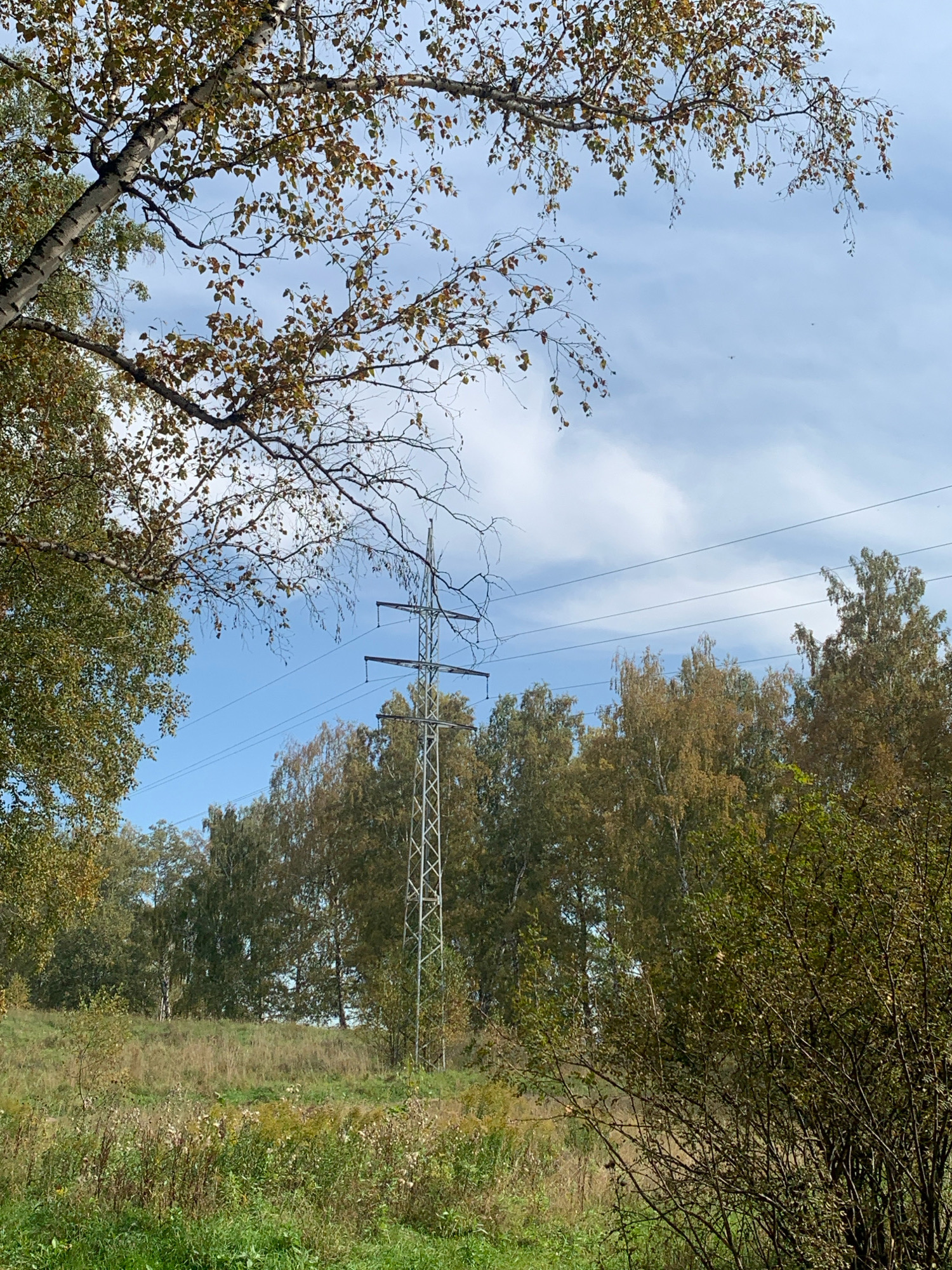 The image depicts an outdoor scene with a power line tower and transmission lines cutting through a wooded area under a partly cloudy sky. The foreground consists of dry grass and some green vegetation, suggesting a rural or semi-rural environment. In the mid-ground, a metal power line tower stands tall, with several wires extending from it across the frame. Behind the tower, a line of trees with autumn foliage, primarily in shades of yellow and brown, stretches across the landscape. To the left, a birch tree with white bark and some autumn leaves is prominent. The sky is a light blue with scattered white clouds. The overall impression is that of a natural landscape interrupted by man-made infrastructure. The image does not contain any people or any specific identifiable landmarks that would suggest a particular location within Prokopyevsk, Russia.