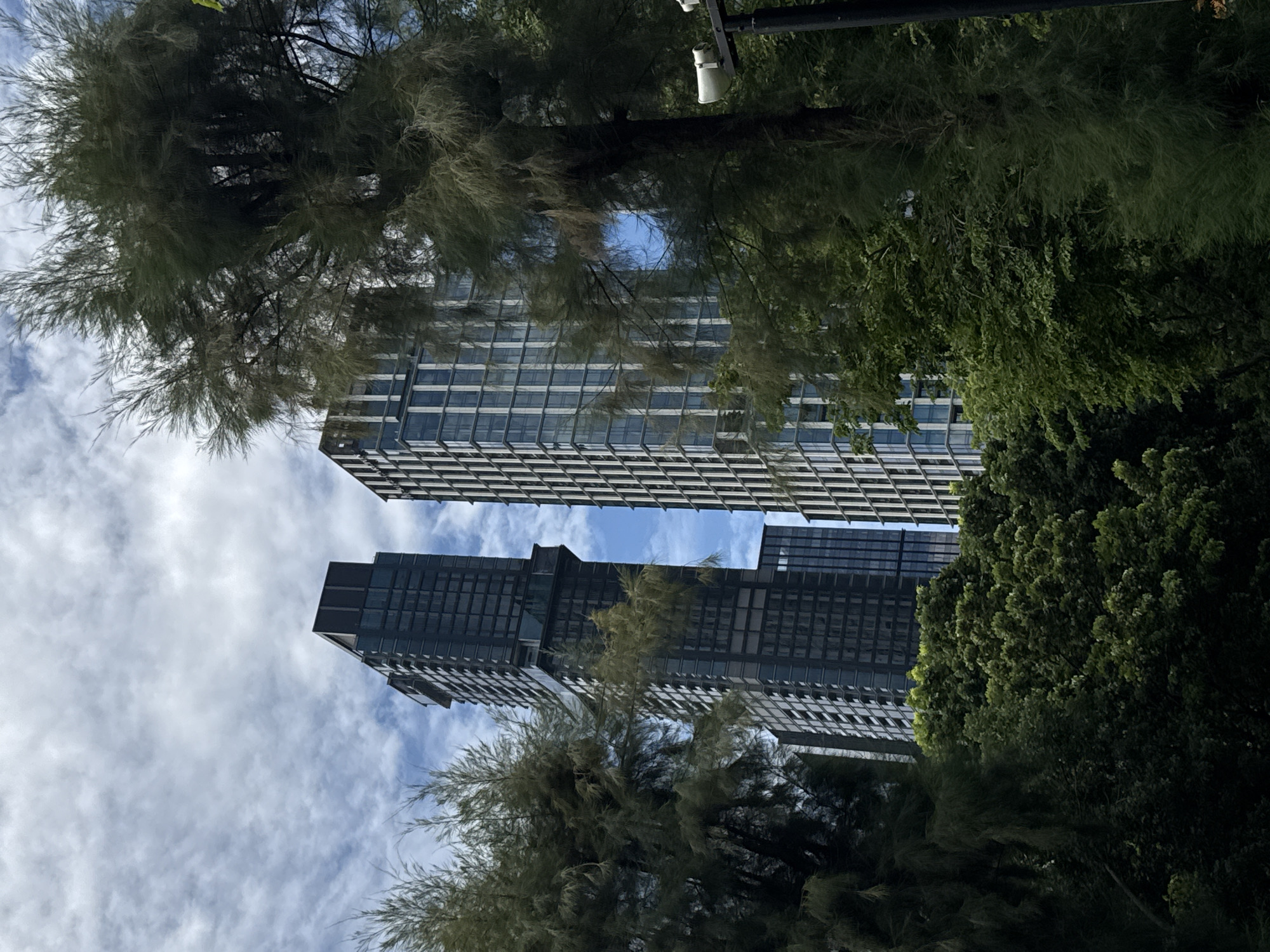 This image captures a view of modern skyscrapers in Bangkok, Thailand, partially obscured by lush green trees. In the foreground, a large tree with wispy, needle-like foliage dominates the right side of the frame, with a dense canopy of broad-leaved green trees filling the lower portion. Two distinct skyscrapers rise behind the foliage. The one on the left is a tall, dark glass tower with a layered, stepped design, featuring a darker rectangular structure at its peak. To its right is a slightly shorter, more slender skyscraper clad in white and blue vertical bands, creating a grid pattern. The sky above is a mix of blue with scattered white clouds. The overall scene suggests an urban environment with a significant presence of nature, likely a park or green space within the city.